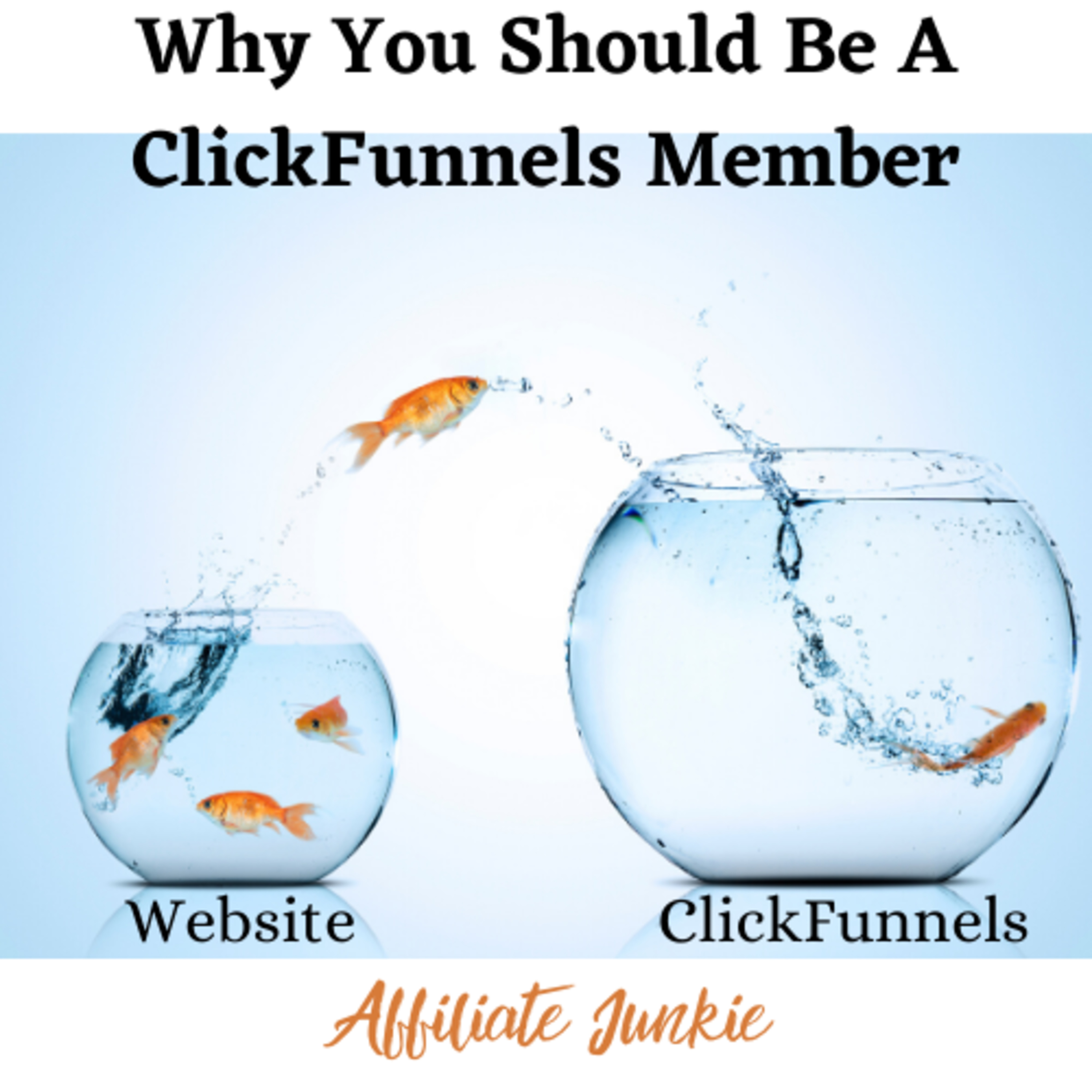 Affiliate Junkie