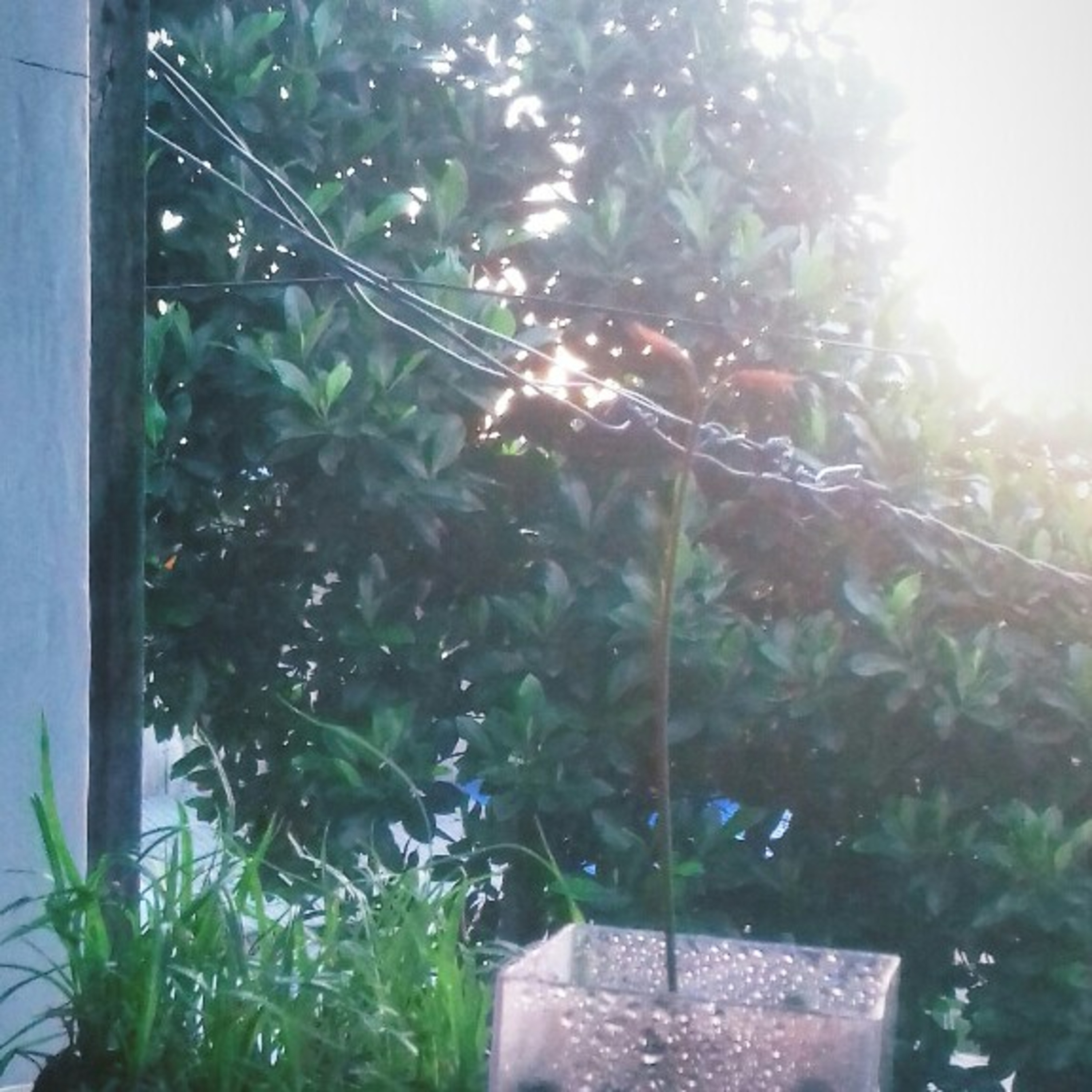 Dua Tiga
