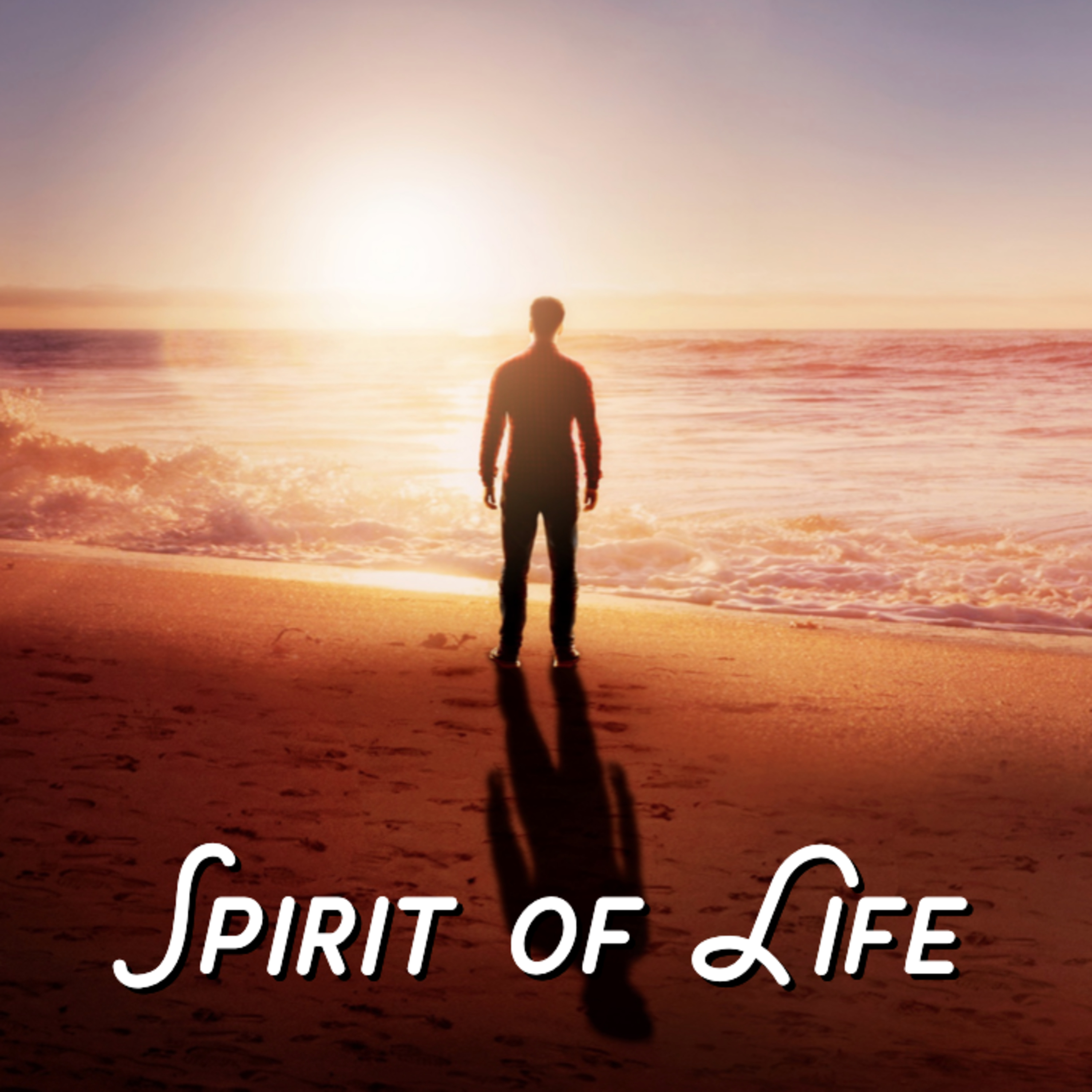 Sermon Messages from Ascension Lutheran Church