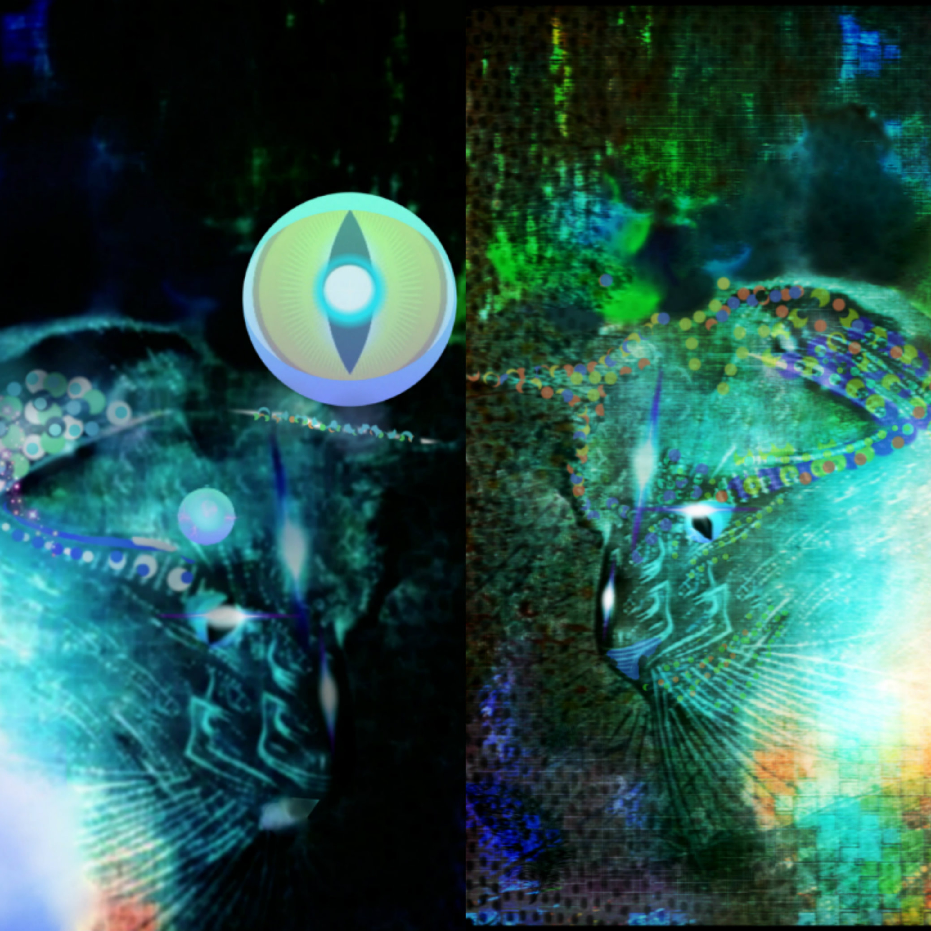 NeuroMarvelous