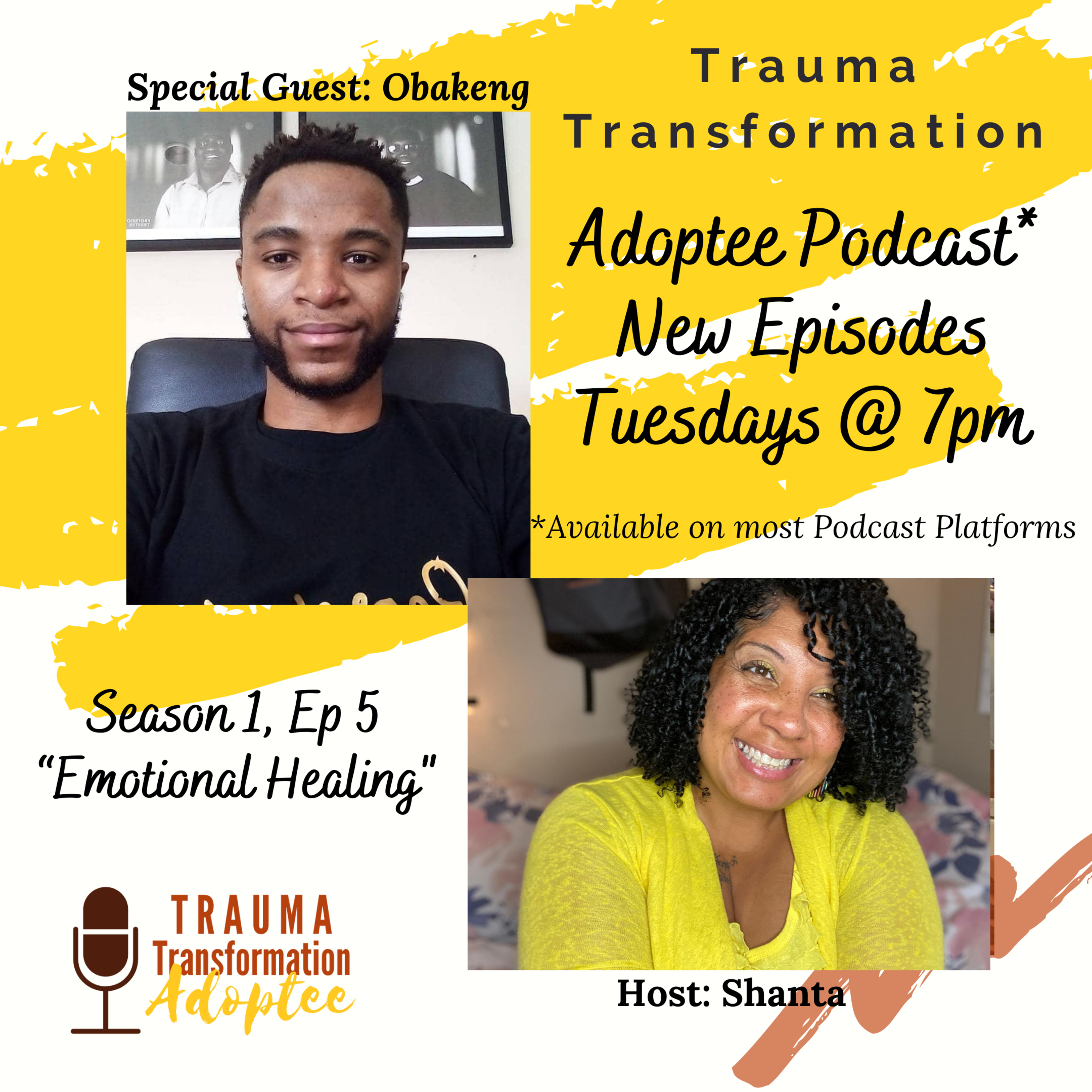 Trauma Transformation Adoptee