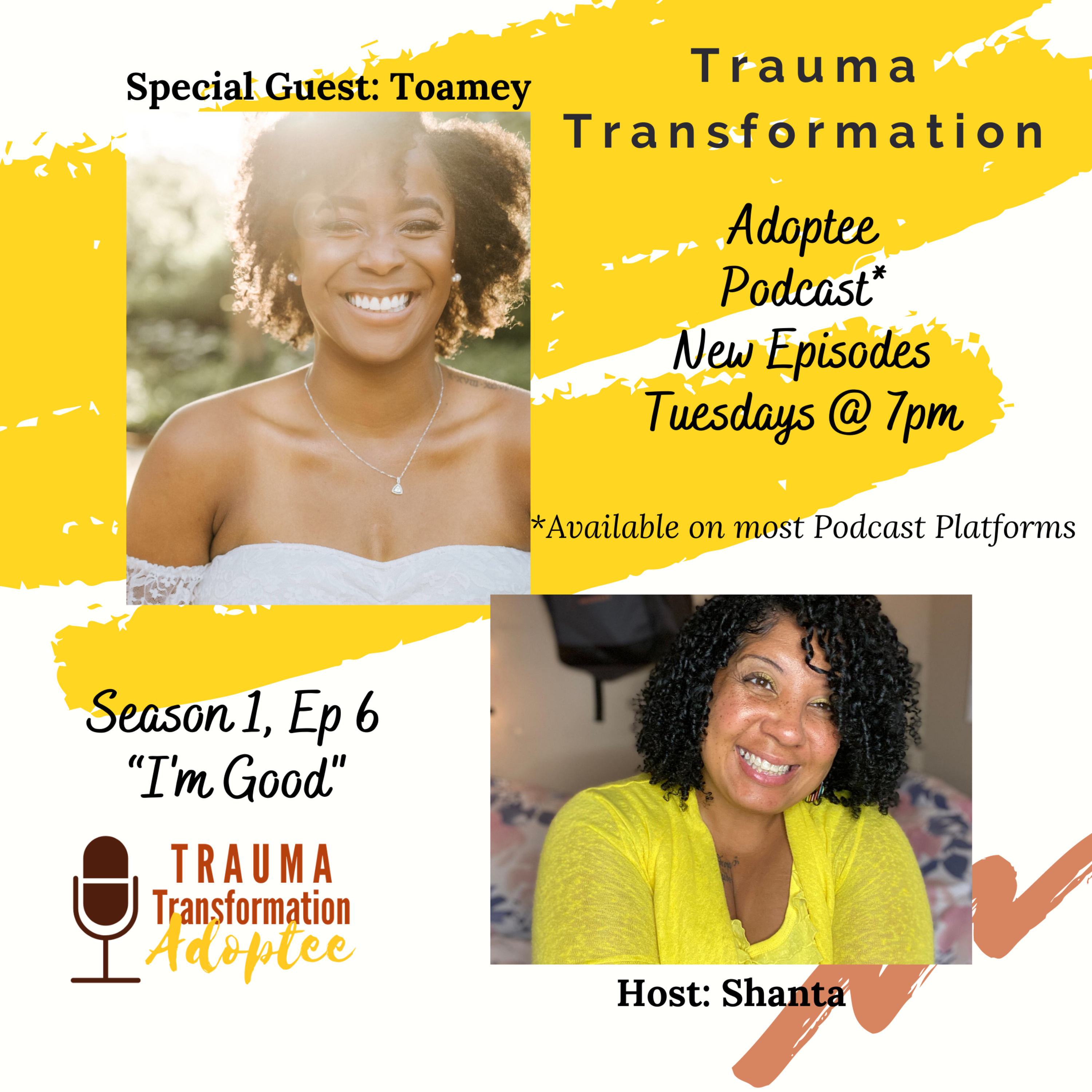 Trauma Transformation Adoptee