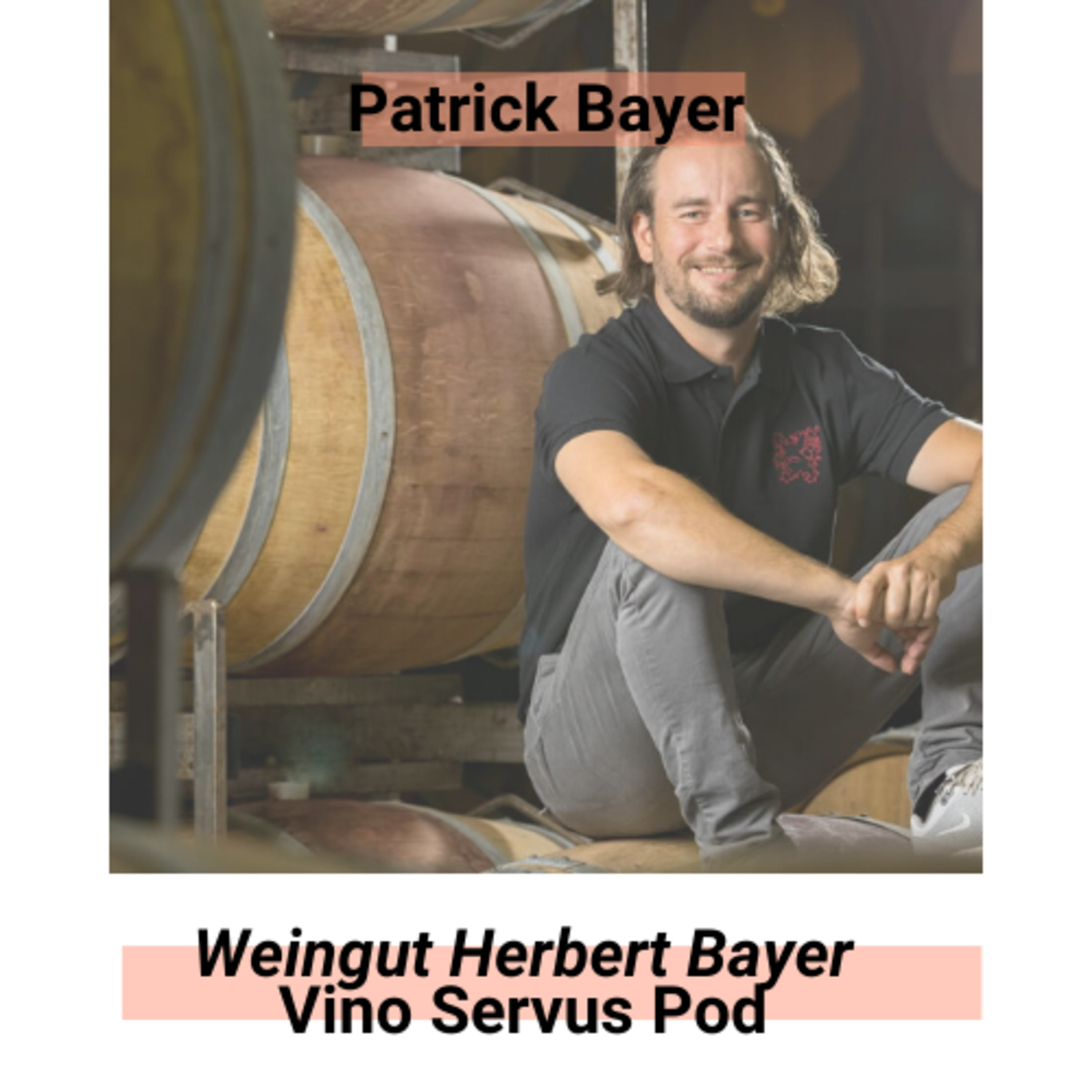 #winestoriescovid19 // Ep. 03 / (DEU) Patrick erzählt, wie es sich aus der Krise neue Wege ergeben können / Weingut Heribert Bayer “In Signo Leonis”  episode artwork