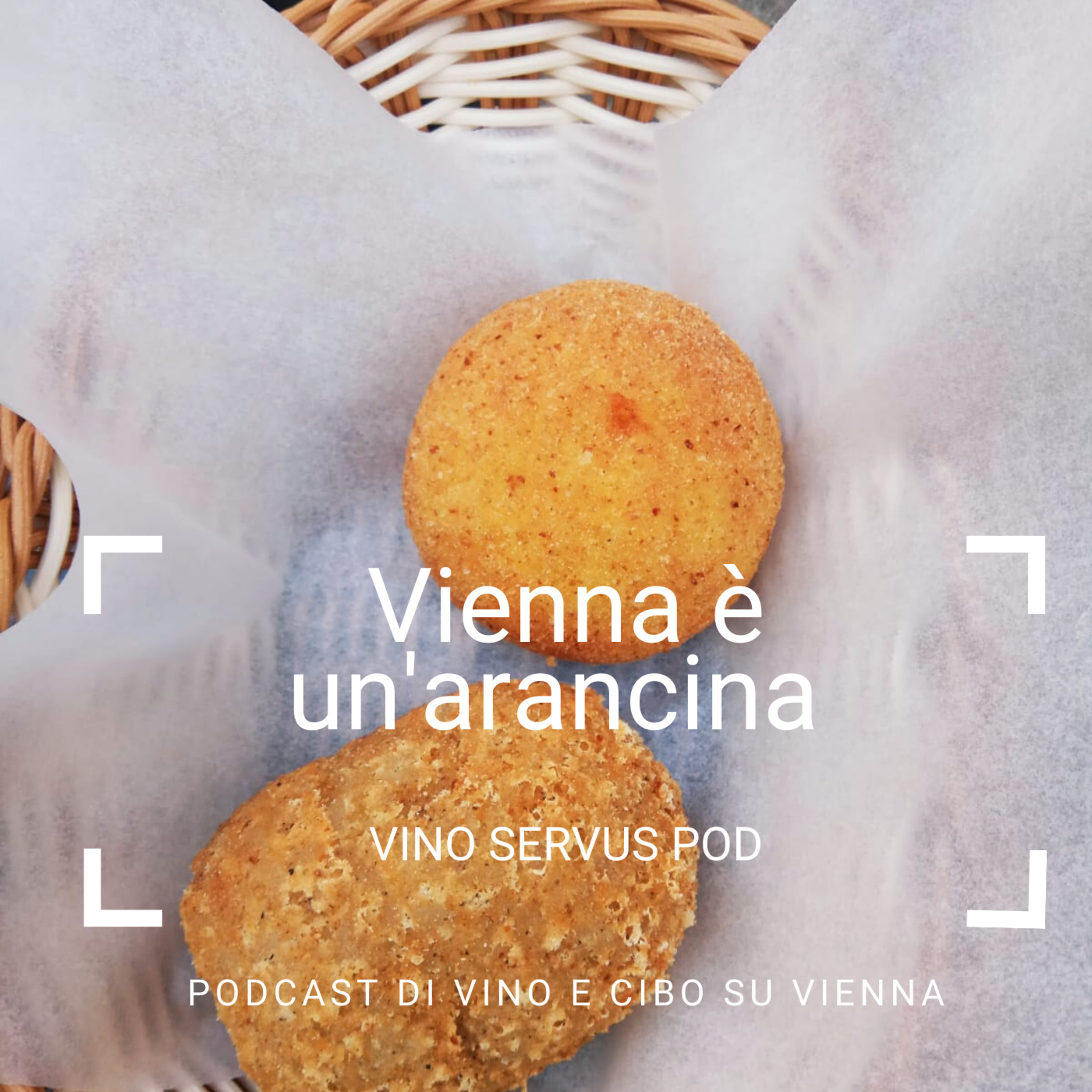 Vino Servus Pod