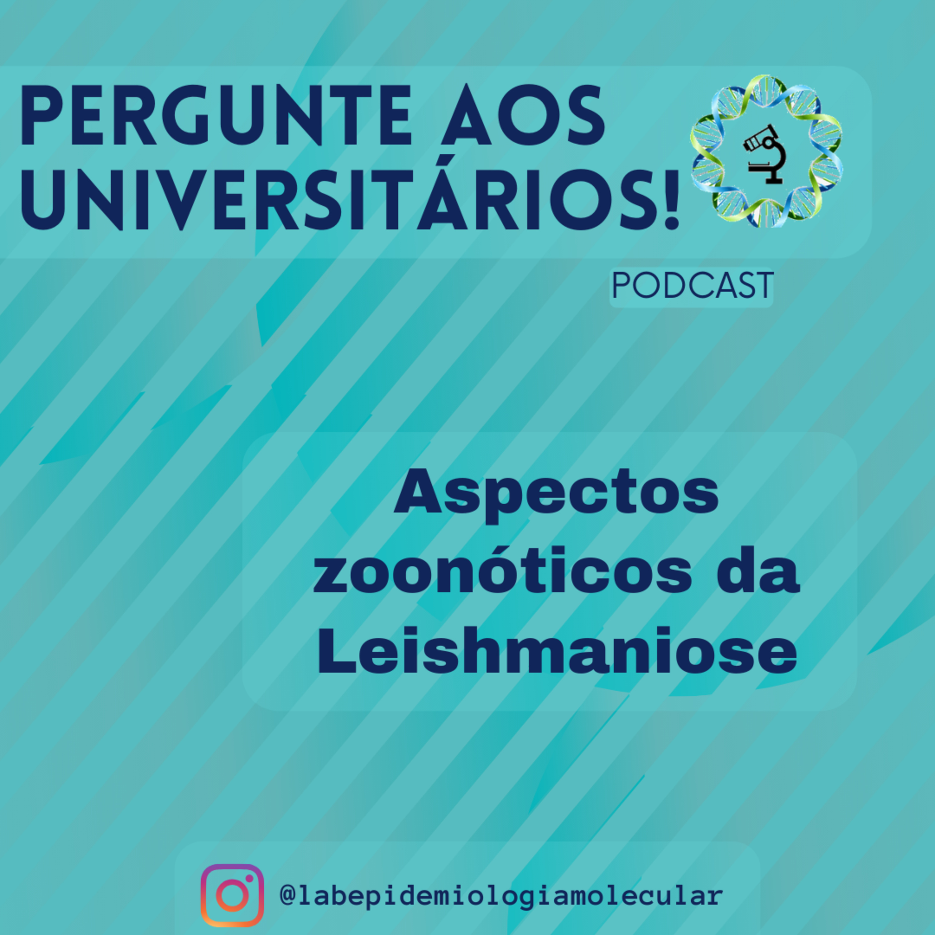 Pergunte aos Universitários!
