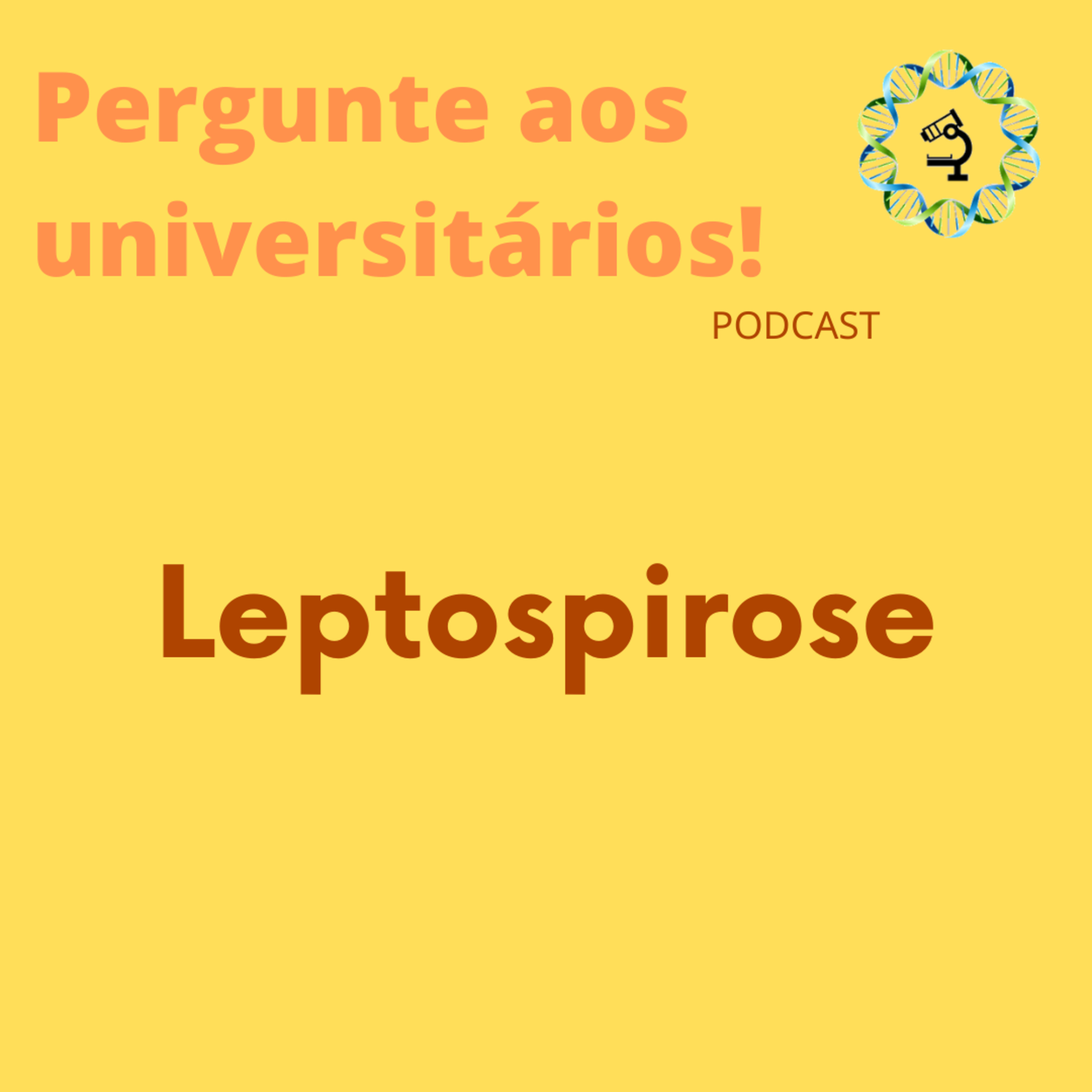 Pergunte aos Universitários!