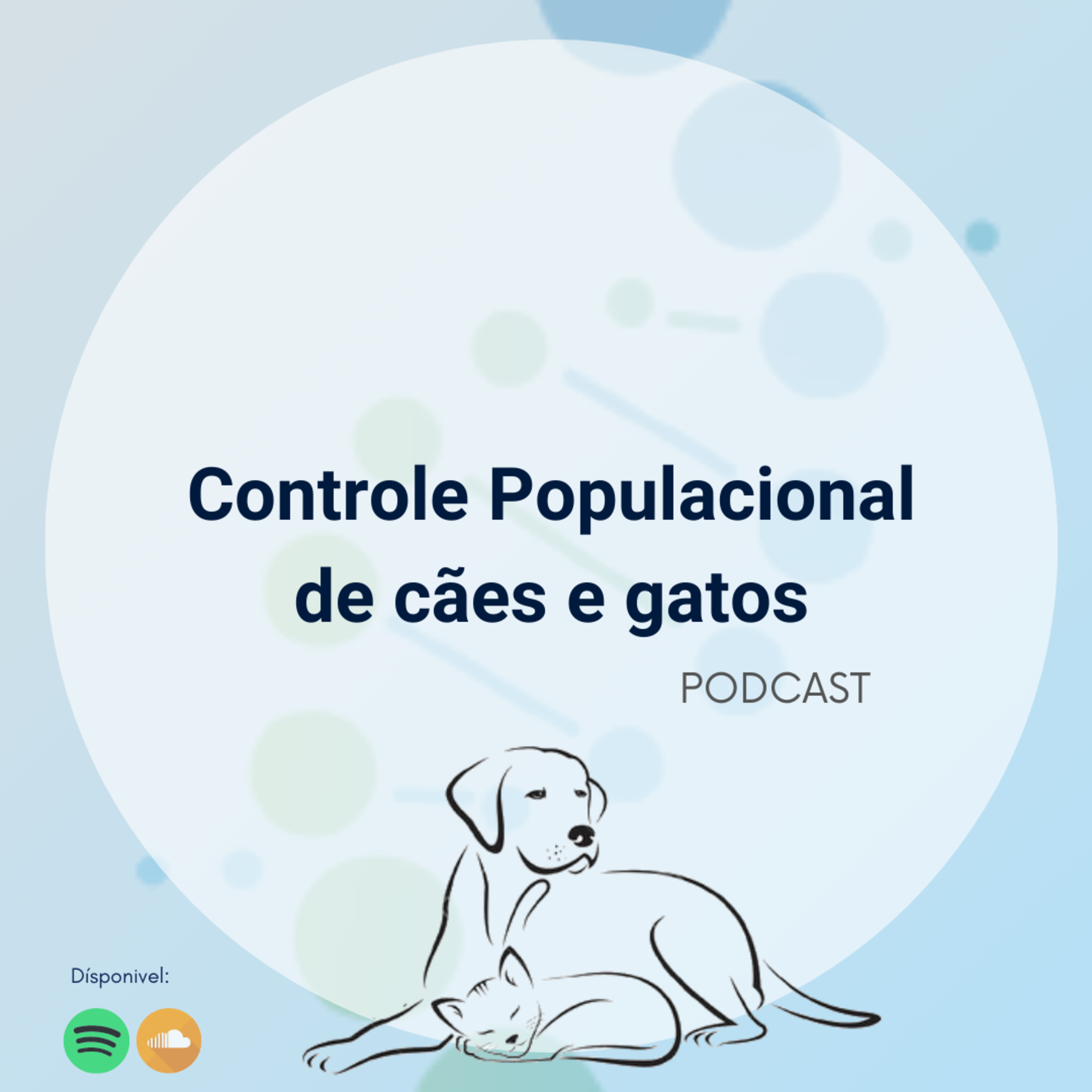Pergunte aos Universitários!