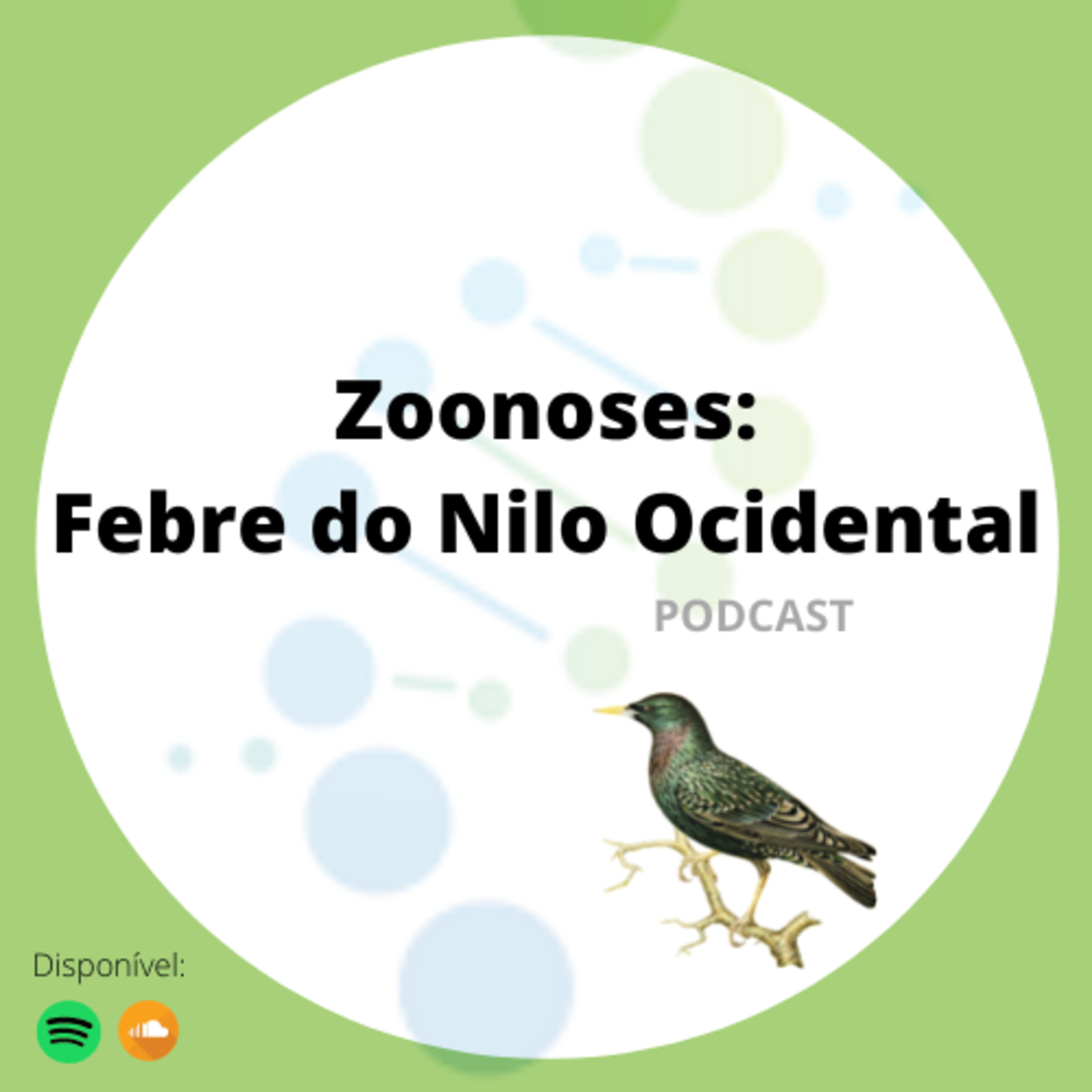 Pergunte aos Universitários!