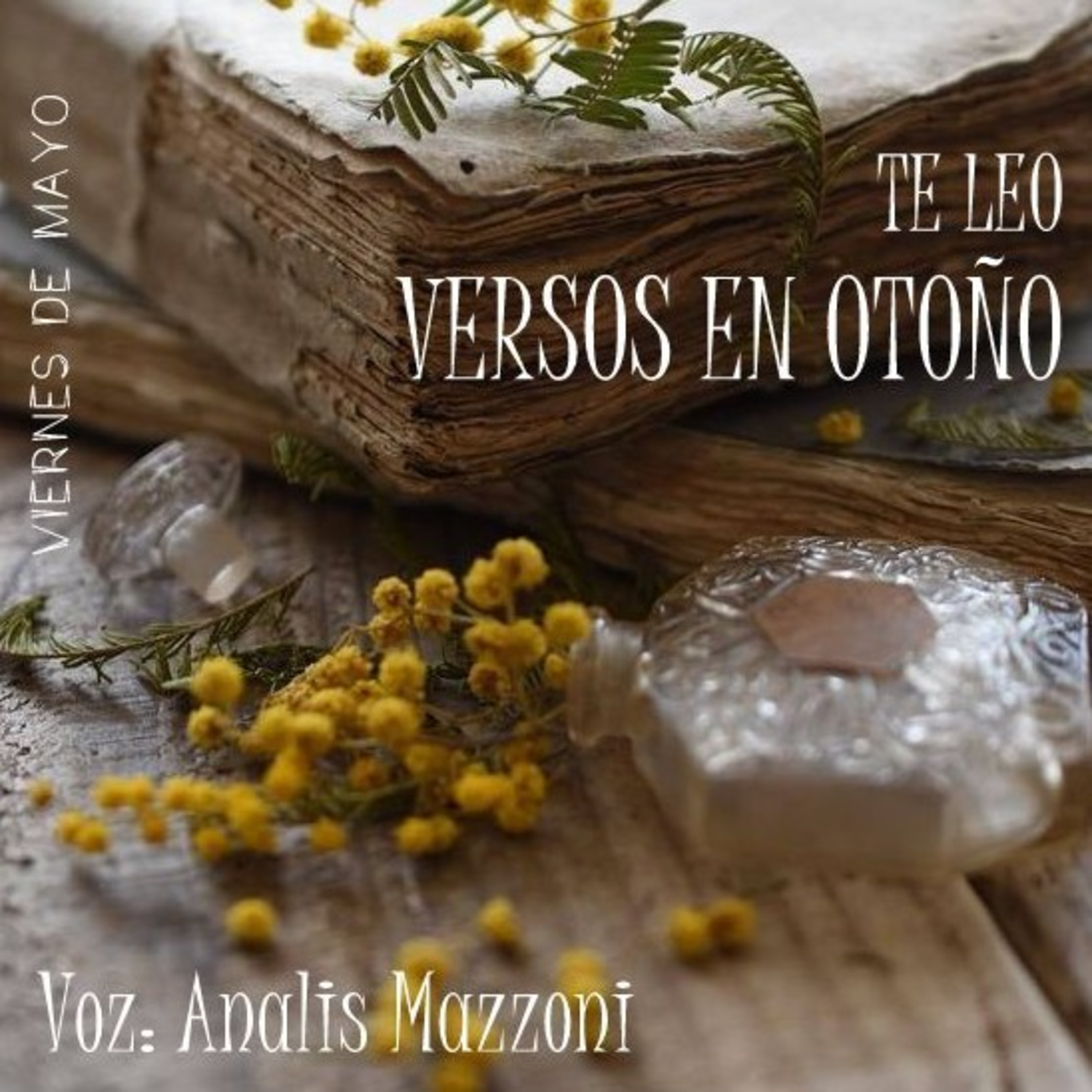 Analis Mazzoni
