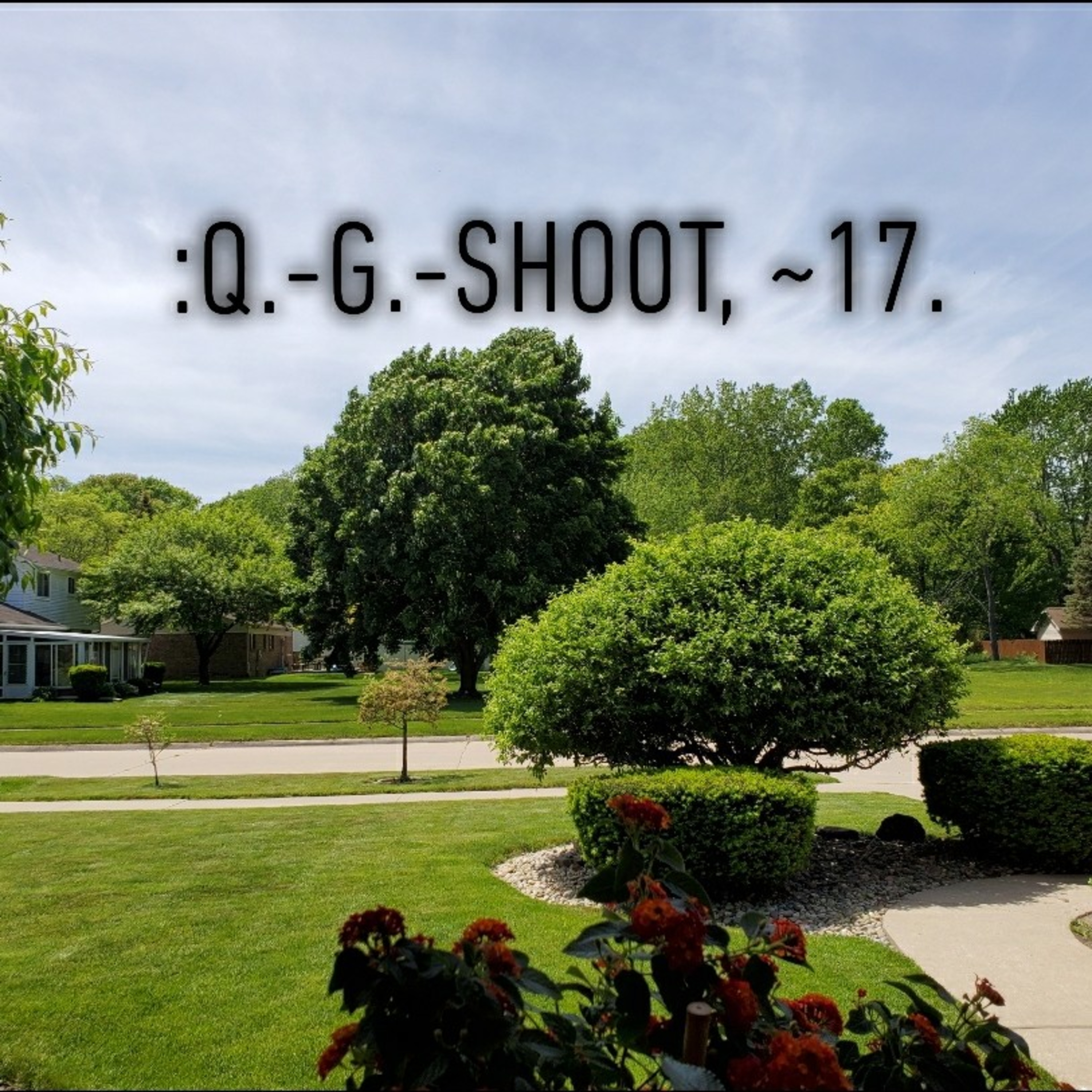 :QUANTUM-GRAMMAR-SHOOT.