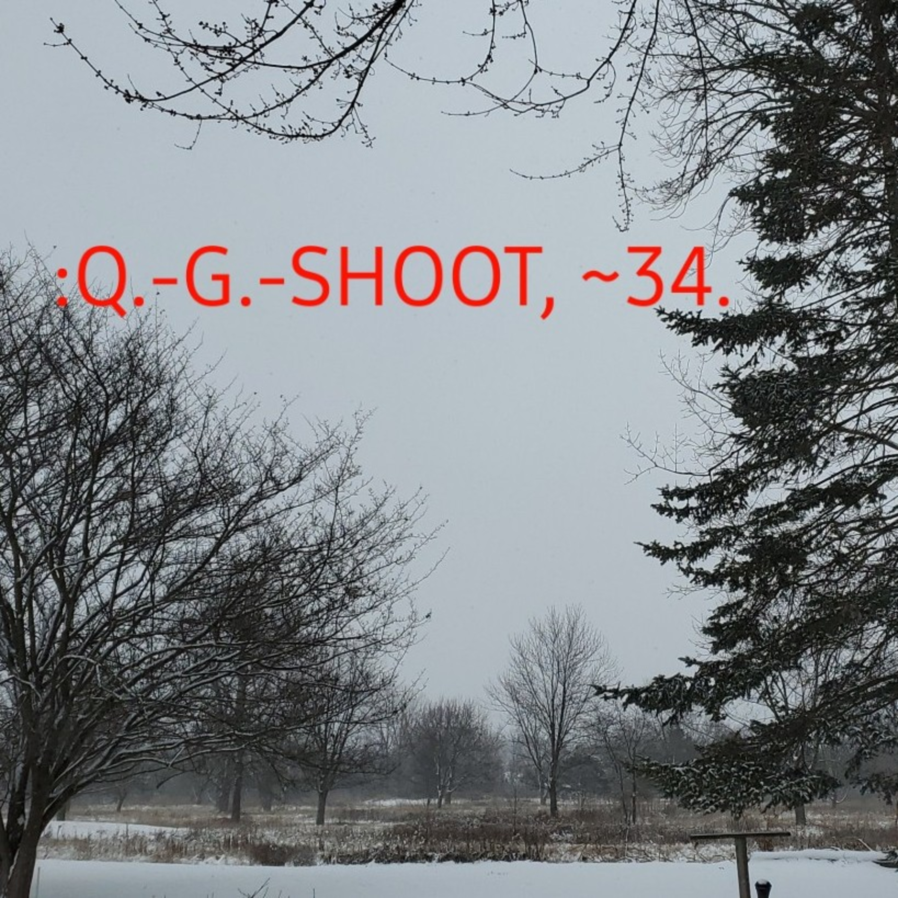 :QUANTUM-GRAMMAR-SHOOT.