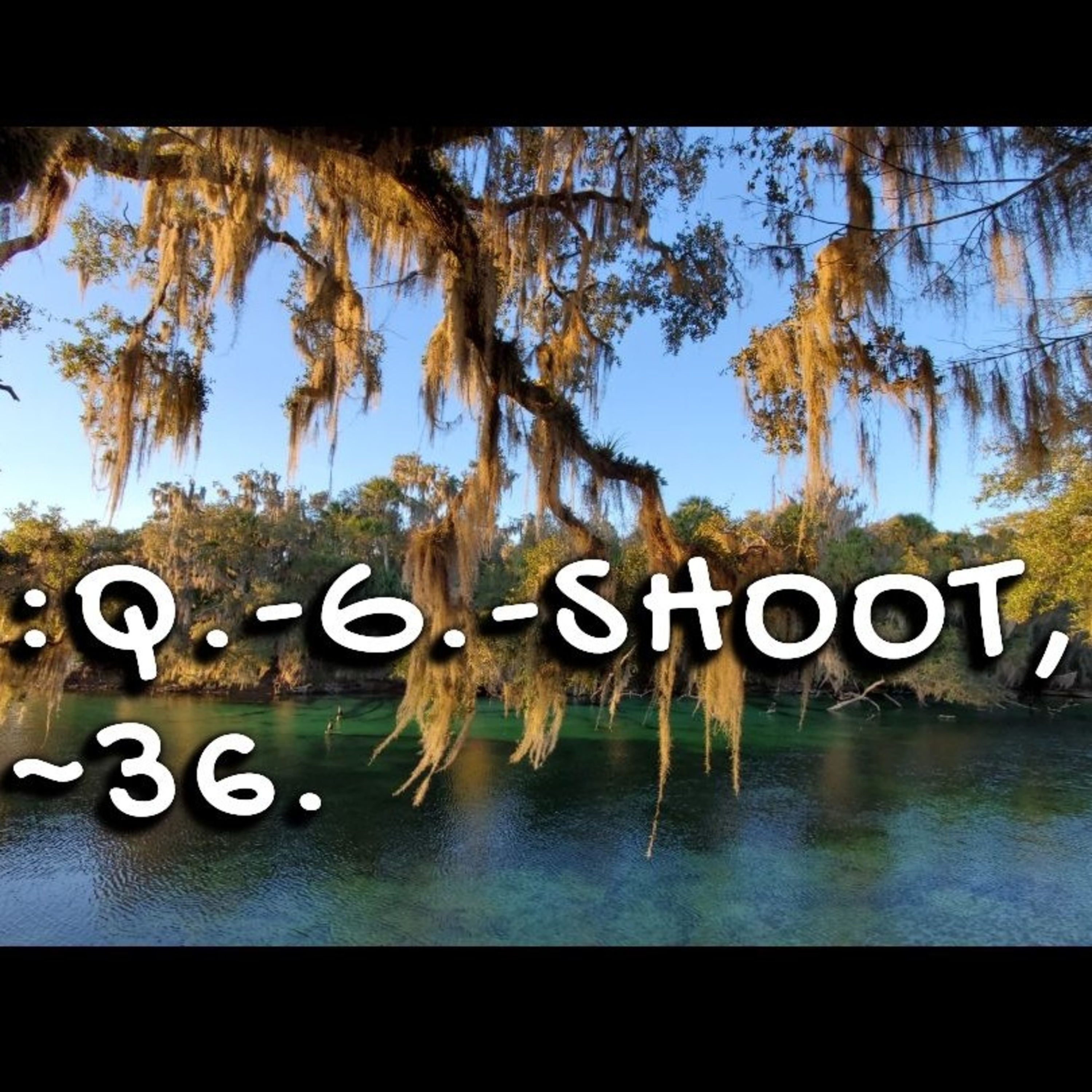 :QUANTUM-GRAMMAR-SHOOT.