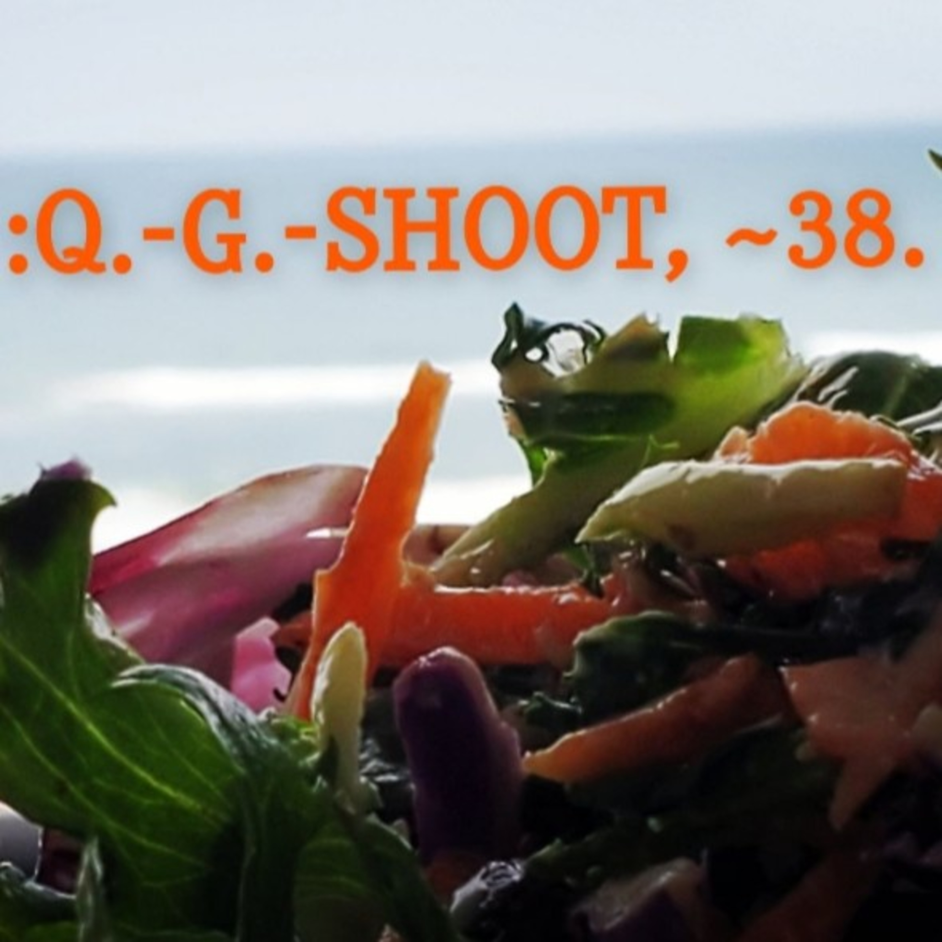 :QUANTUM-GRAMMAR-SHOOT.