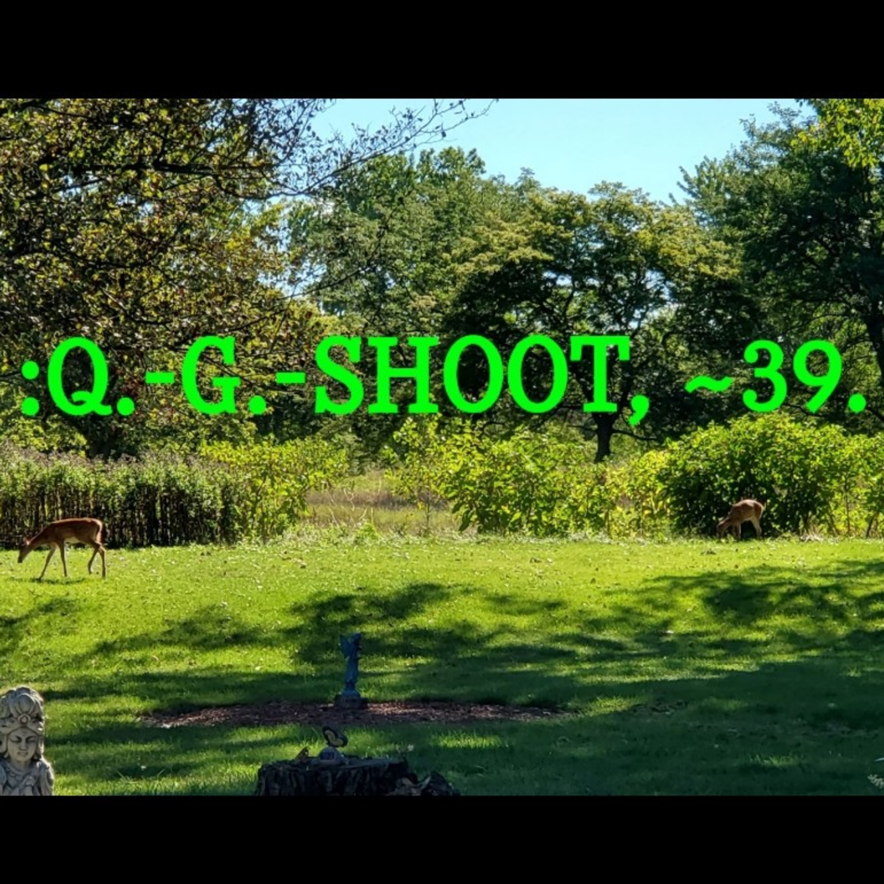 :QUANTUM-GRAMMAR-SHOOT.