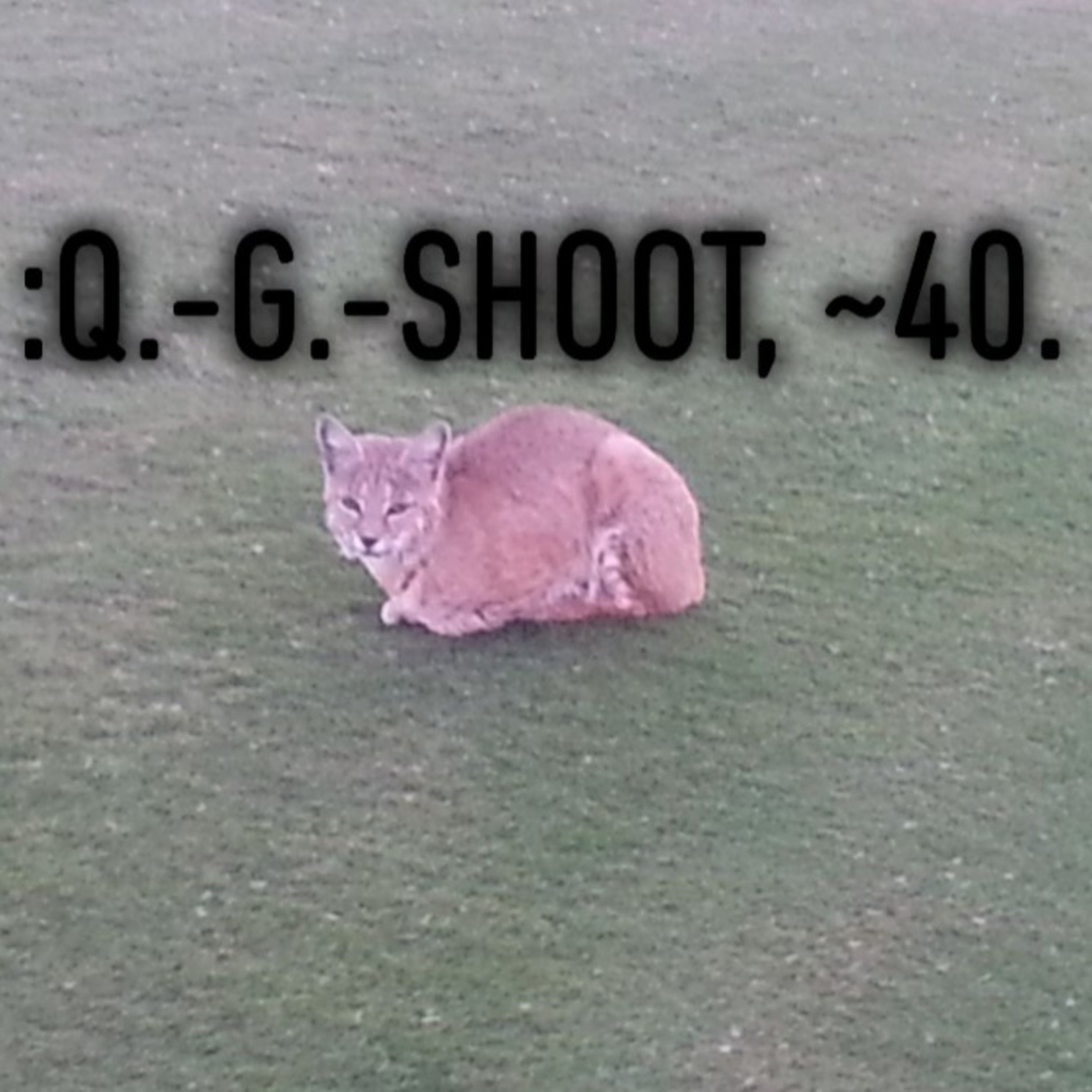 :QUANTUM-GRAMMAR-SHOOT.