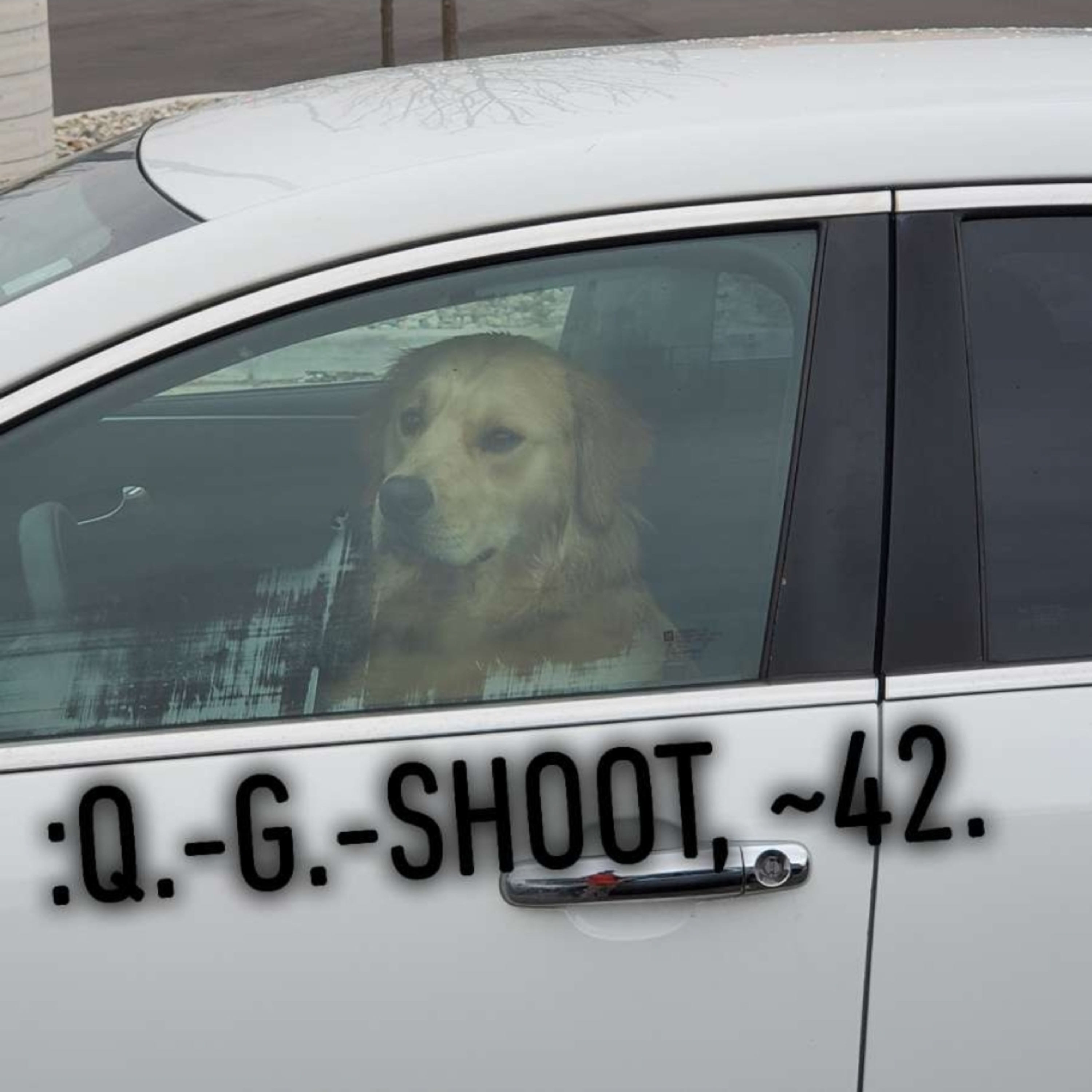 :QUANTUM-GRAMMAR-SHOOT.