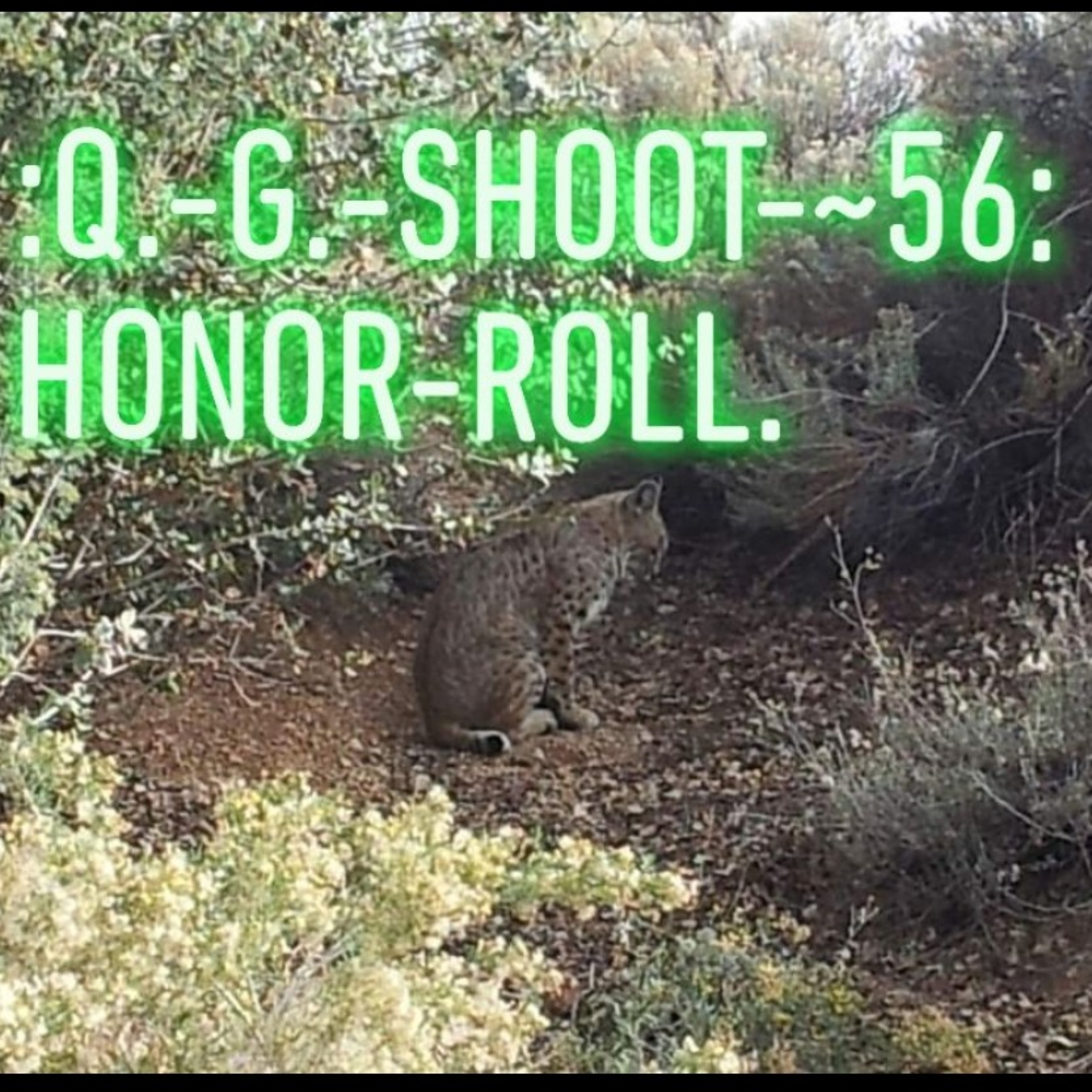 :QUANTUM-GRAMMAR-SHOOT.