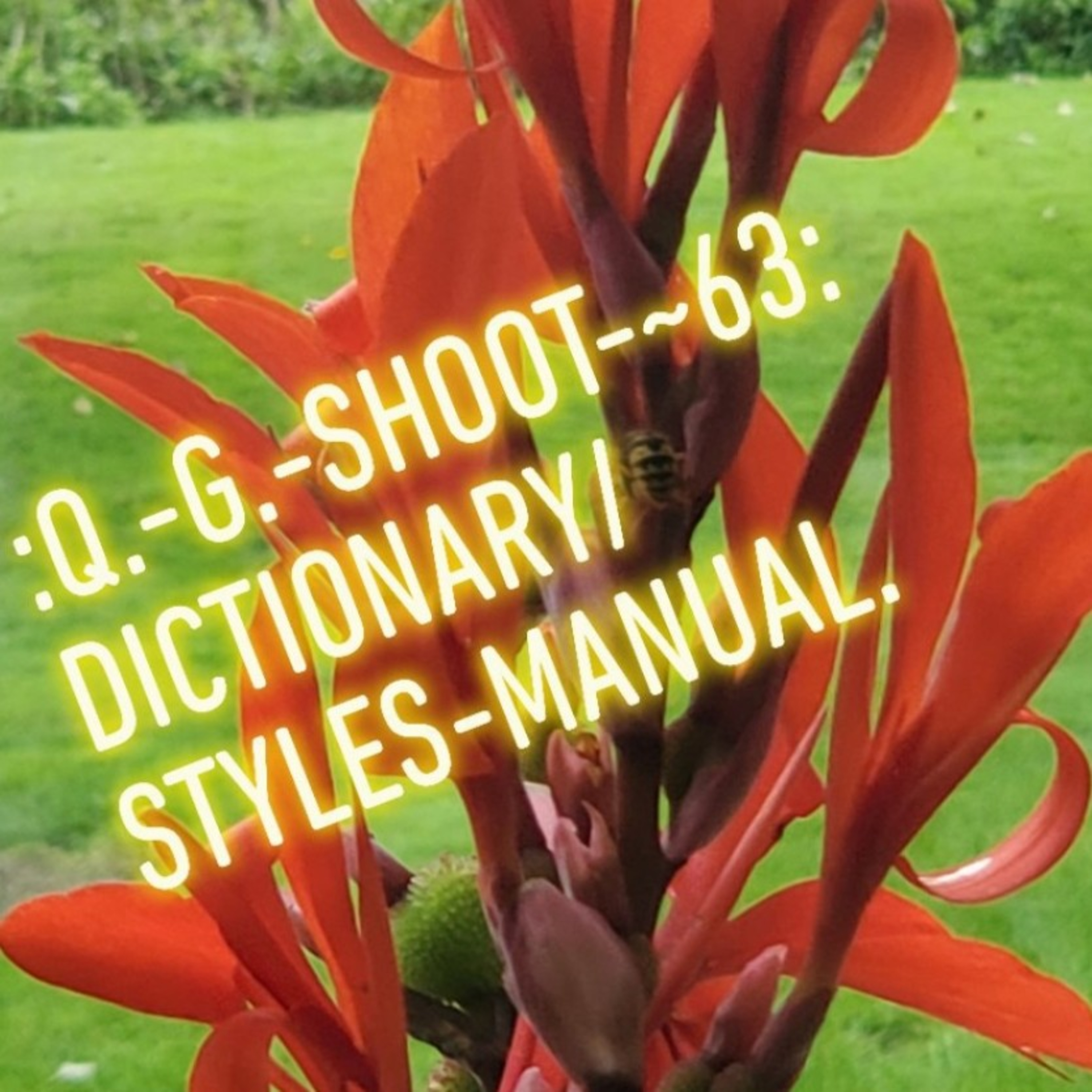 :QUANTUM-GRAMMAR-SHOOT.