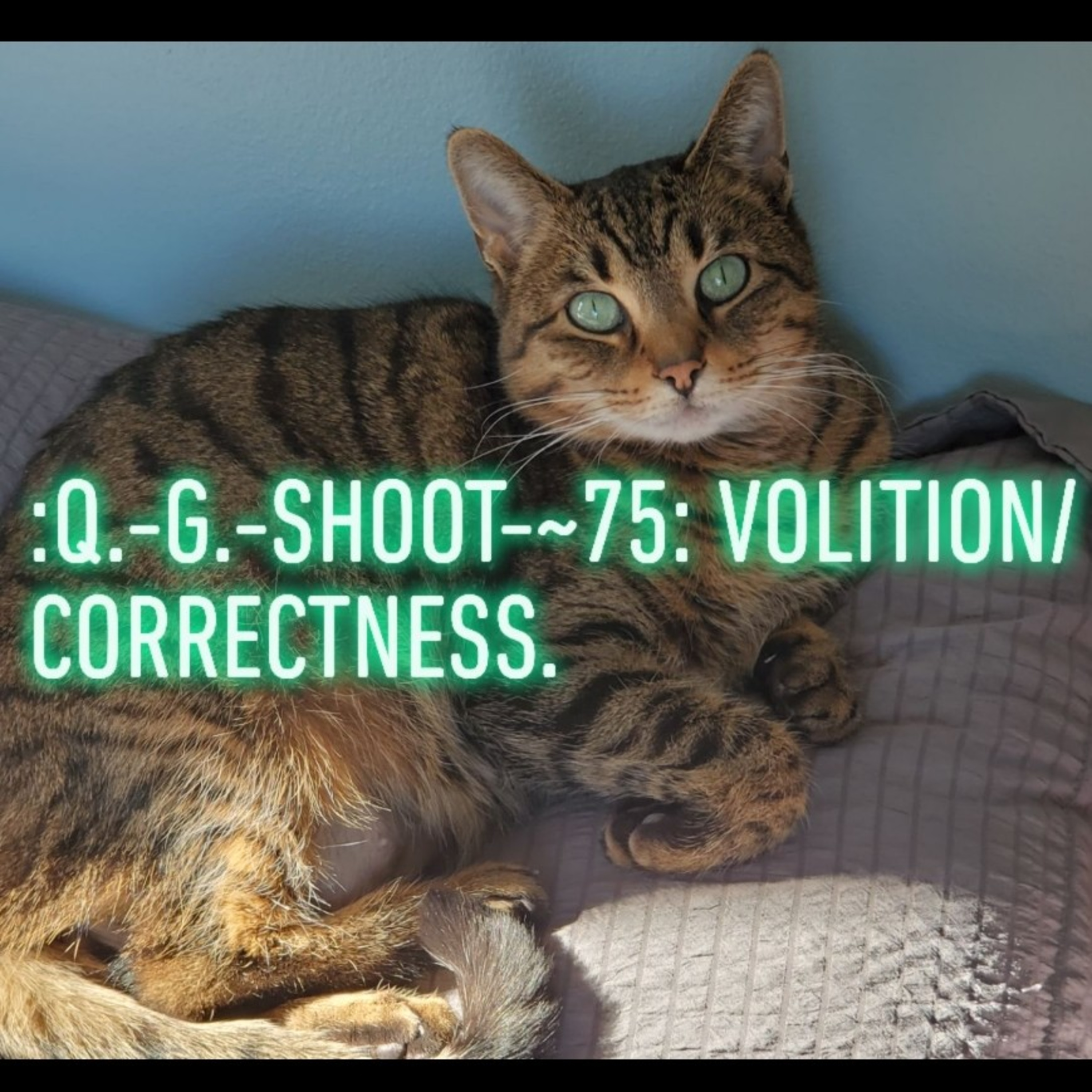 :QUANTUM-GRAMMAR-SHOOT.