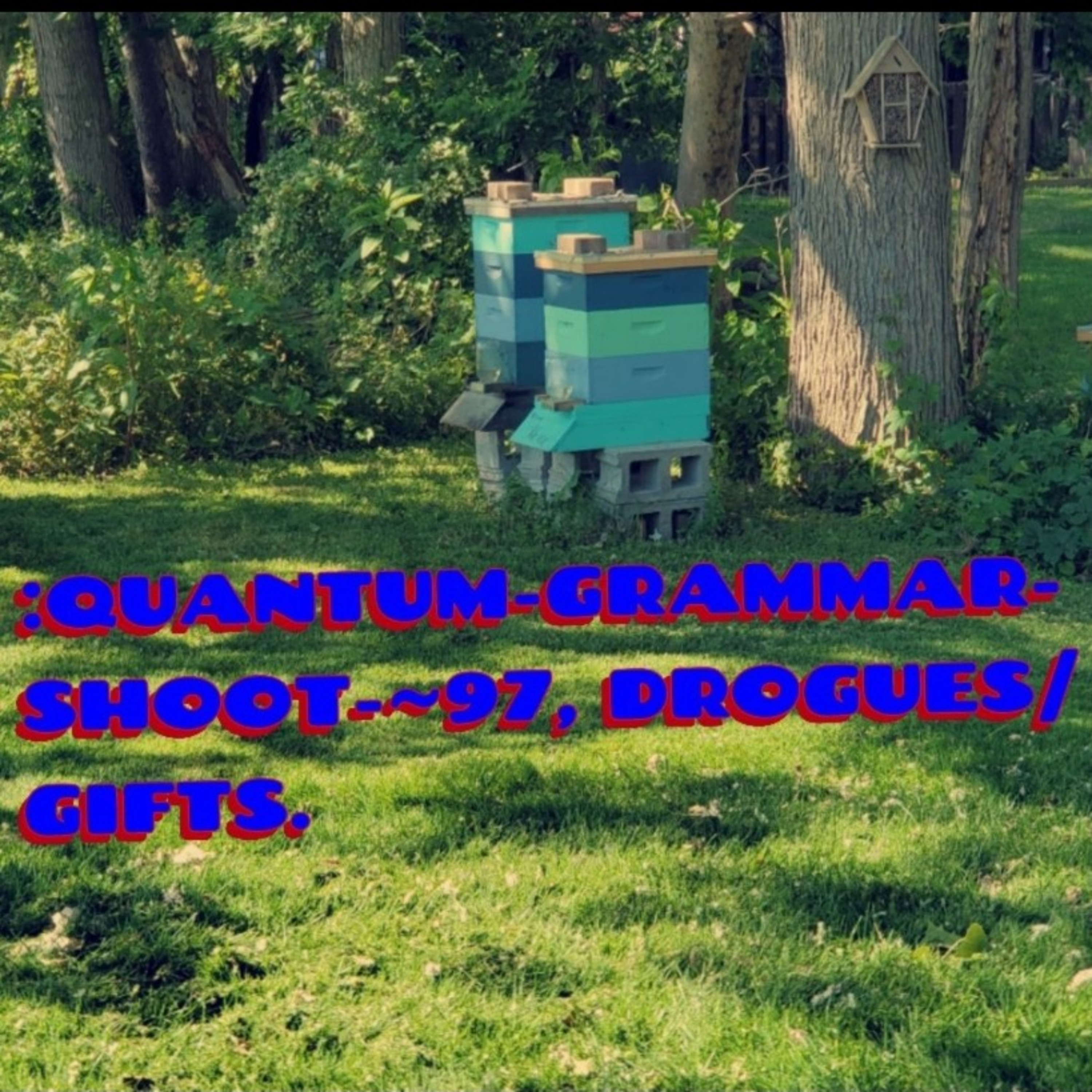 :QUANTUM-GRAMMAR-SHOOT.