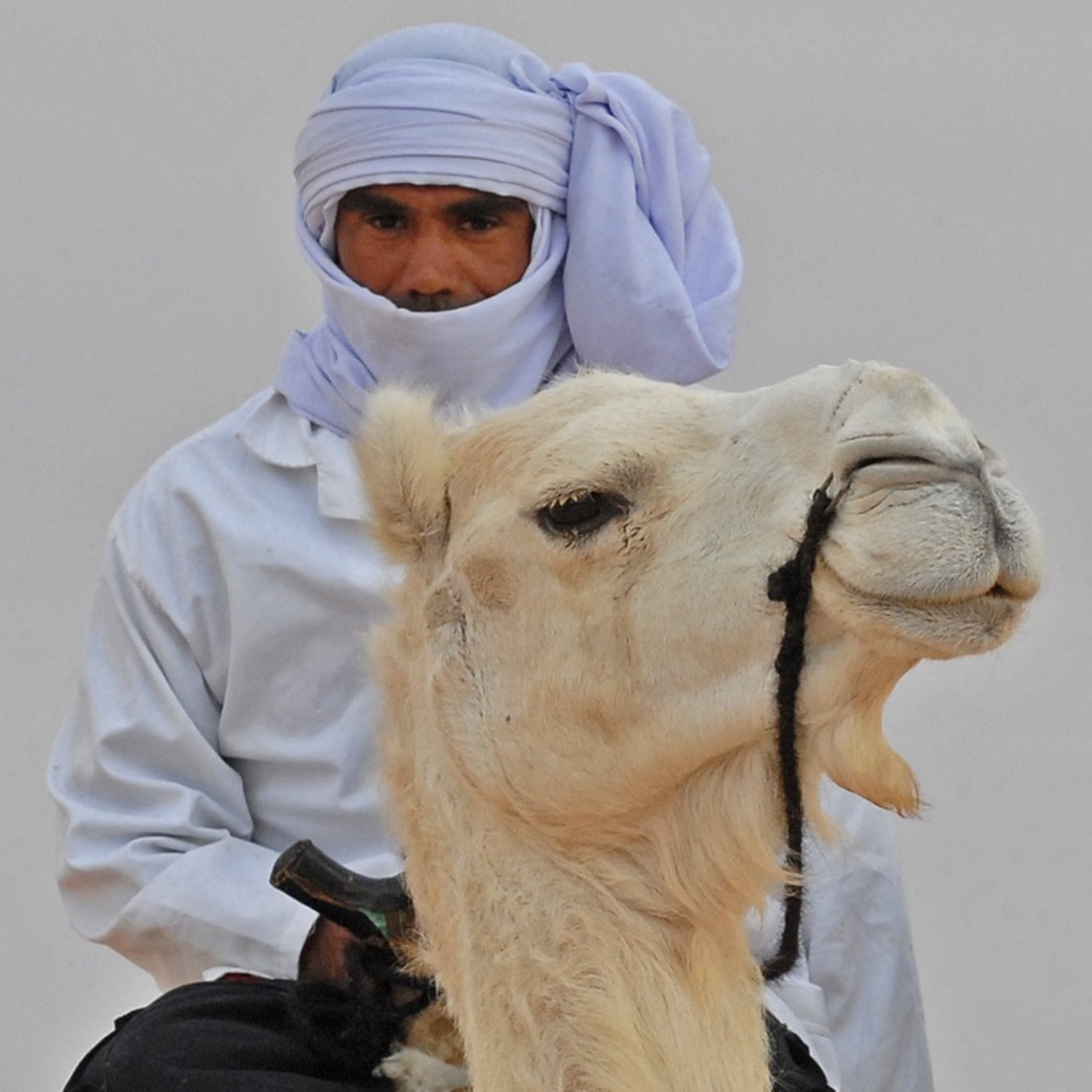 Bem vindo(a) aos podcasts Rádio Mundo Brasil