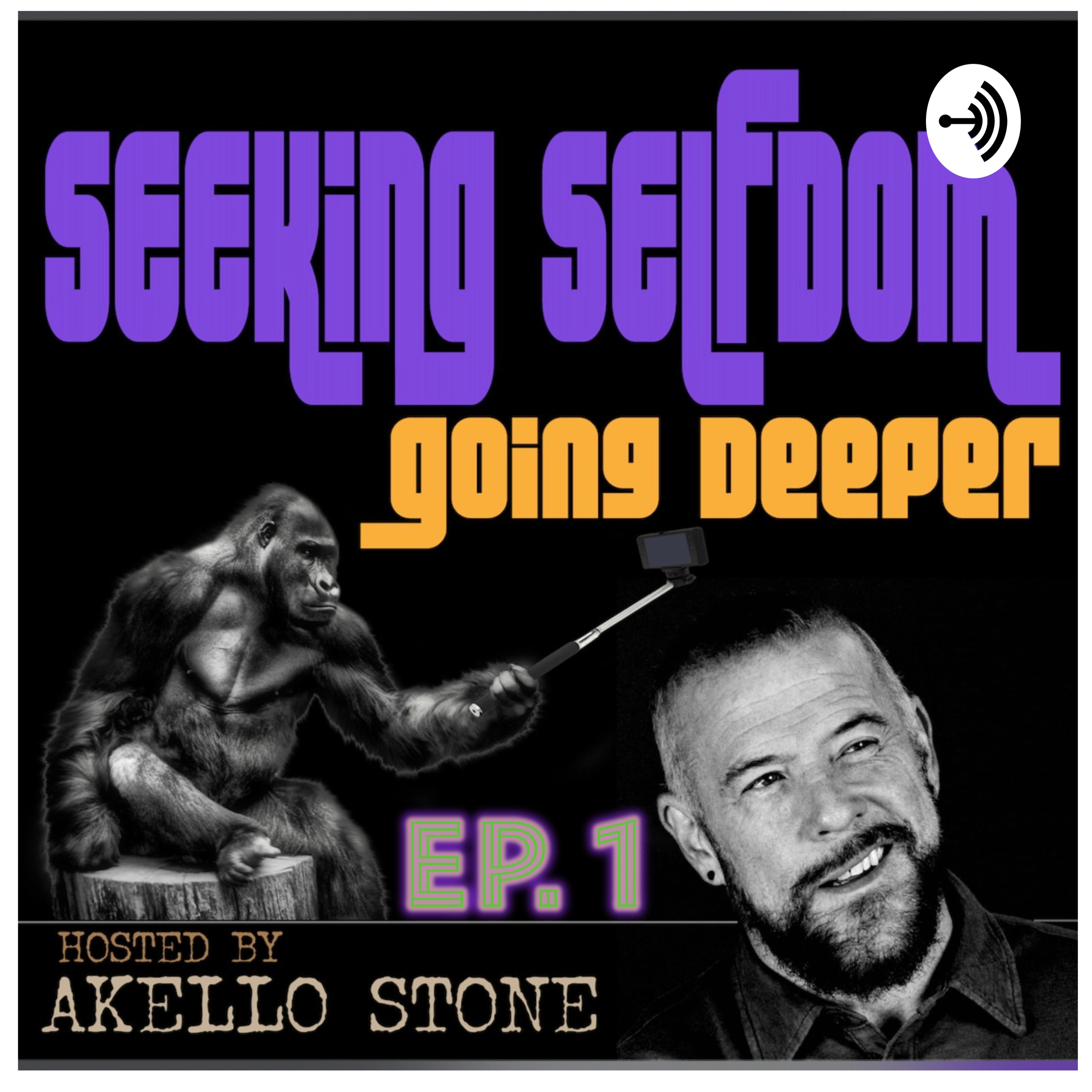 EP 1 // SEEKING SELFDOM—GOING DEEPER // Master of None, Uncertainty & Social Media episode artwork