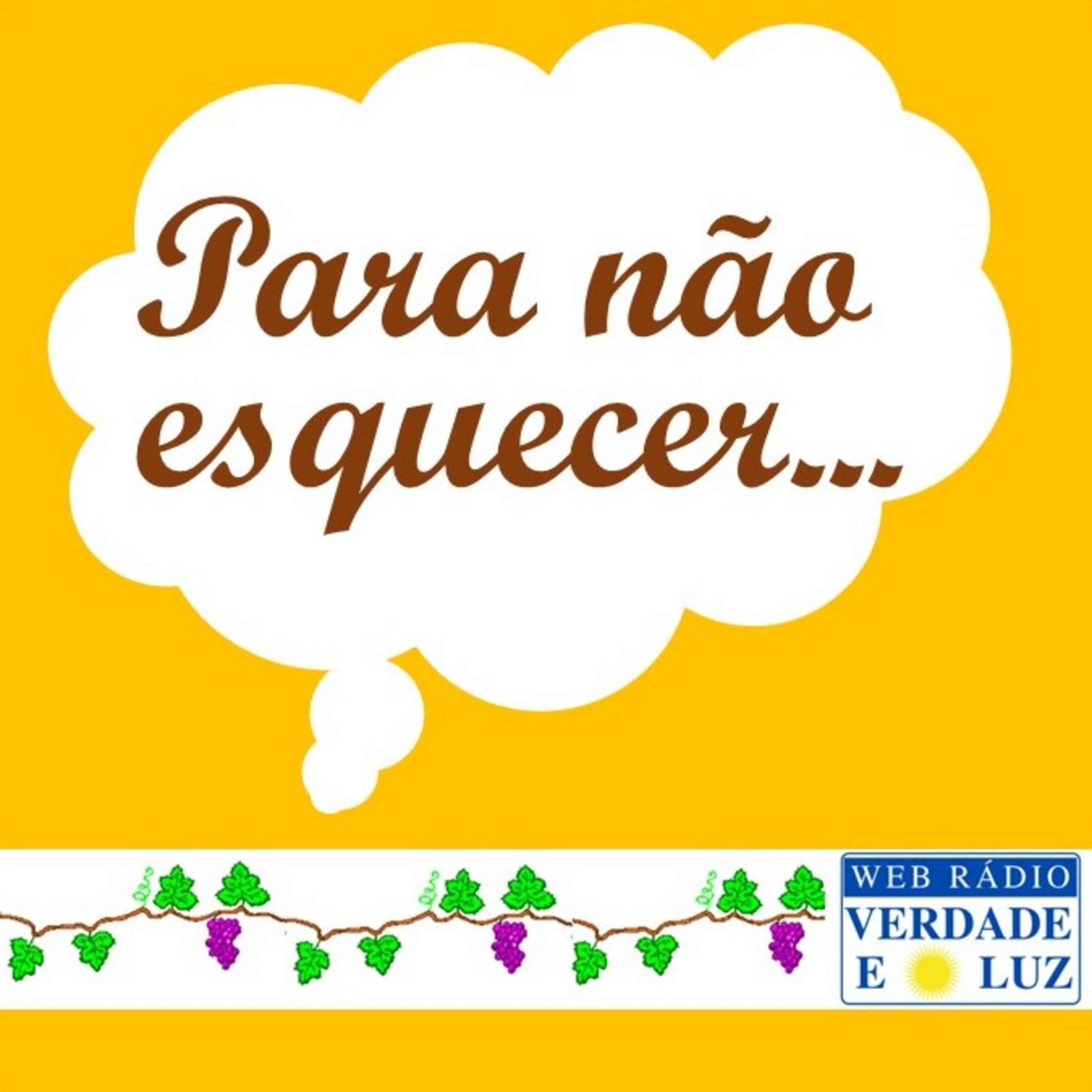 Web Radio Verdade e Luz