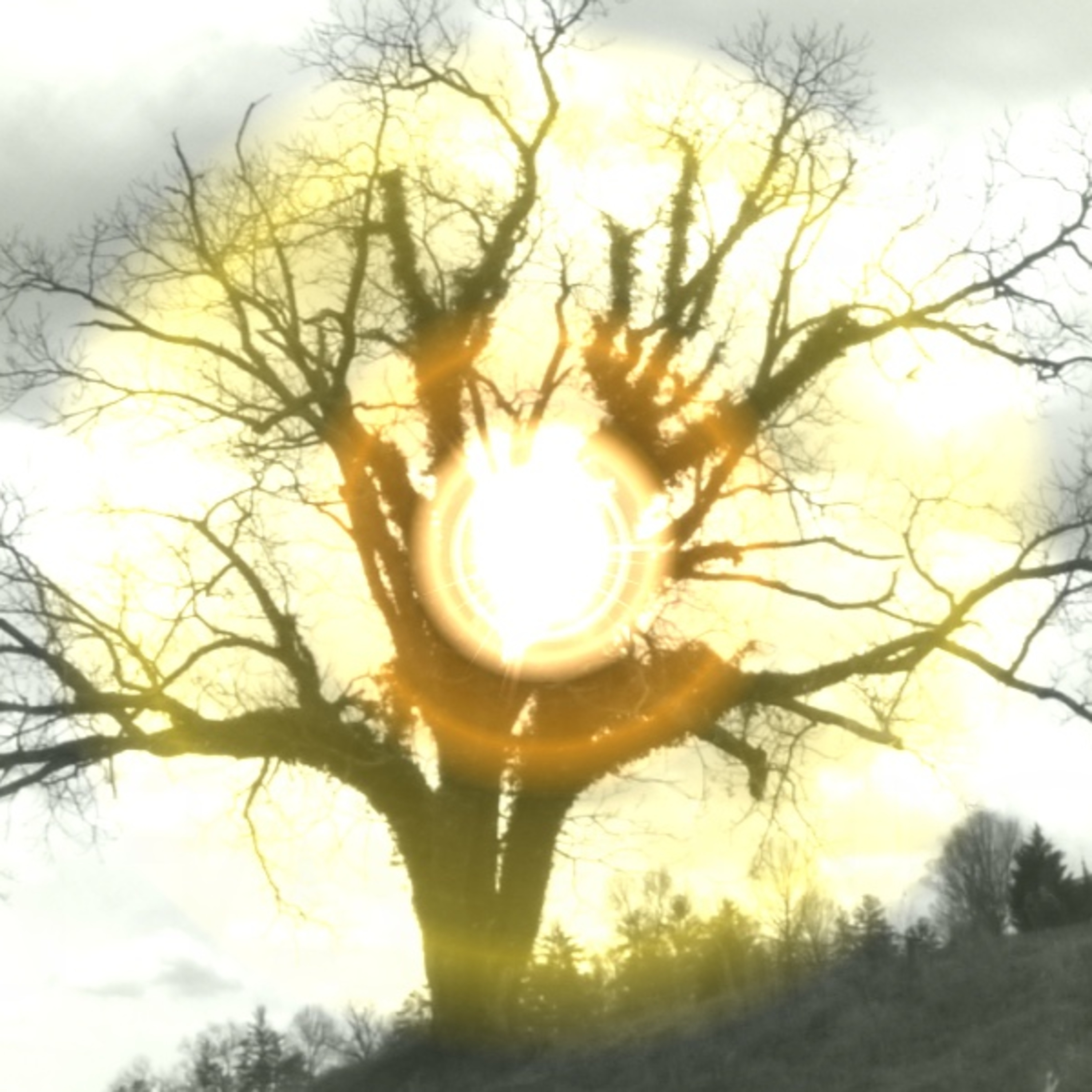 tools for ascension by Wolfgang