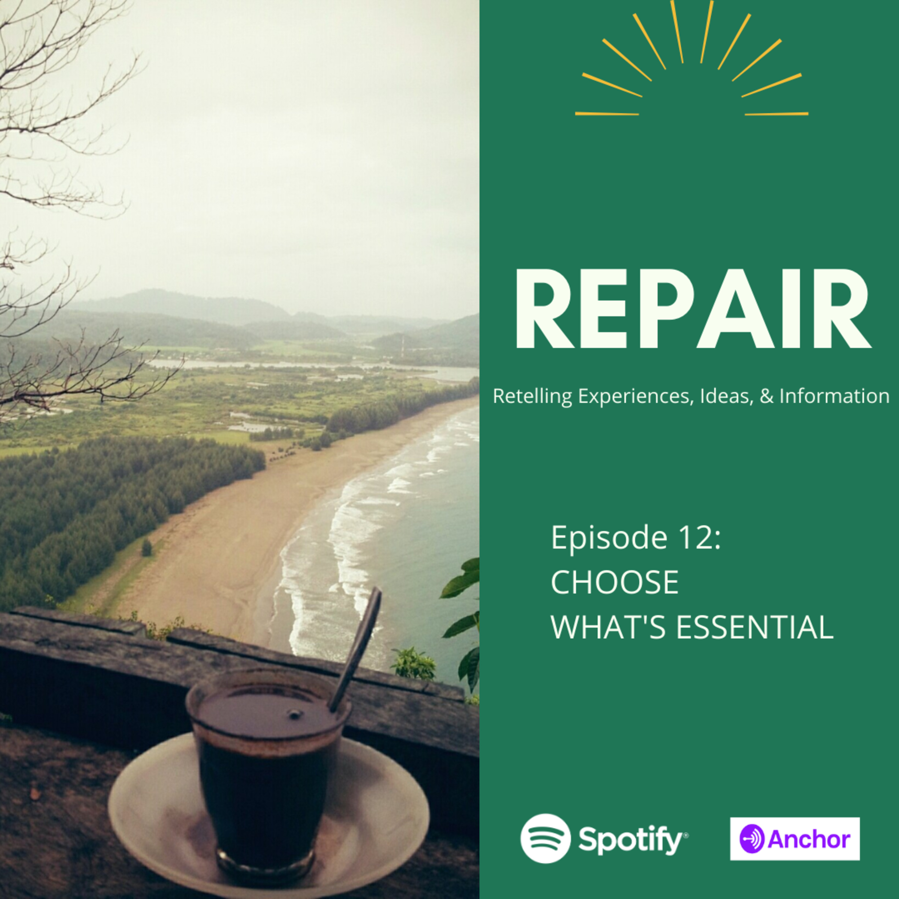 REPAIR