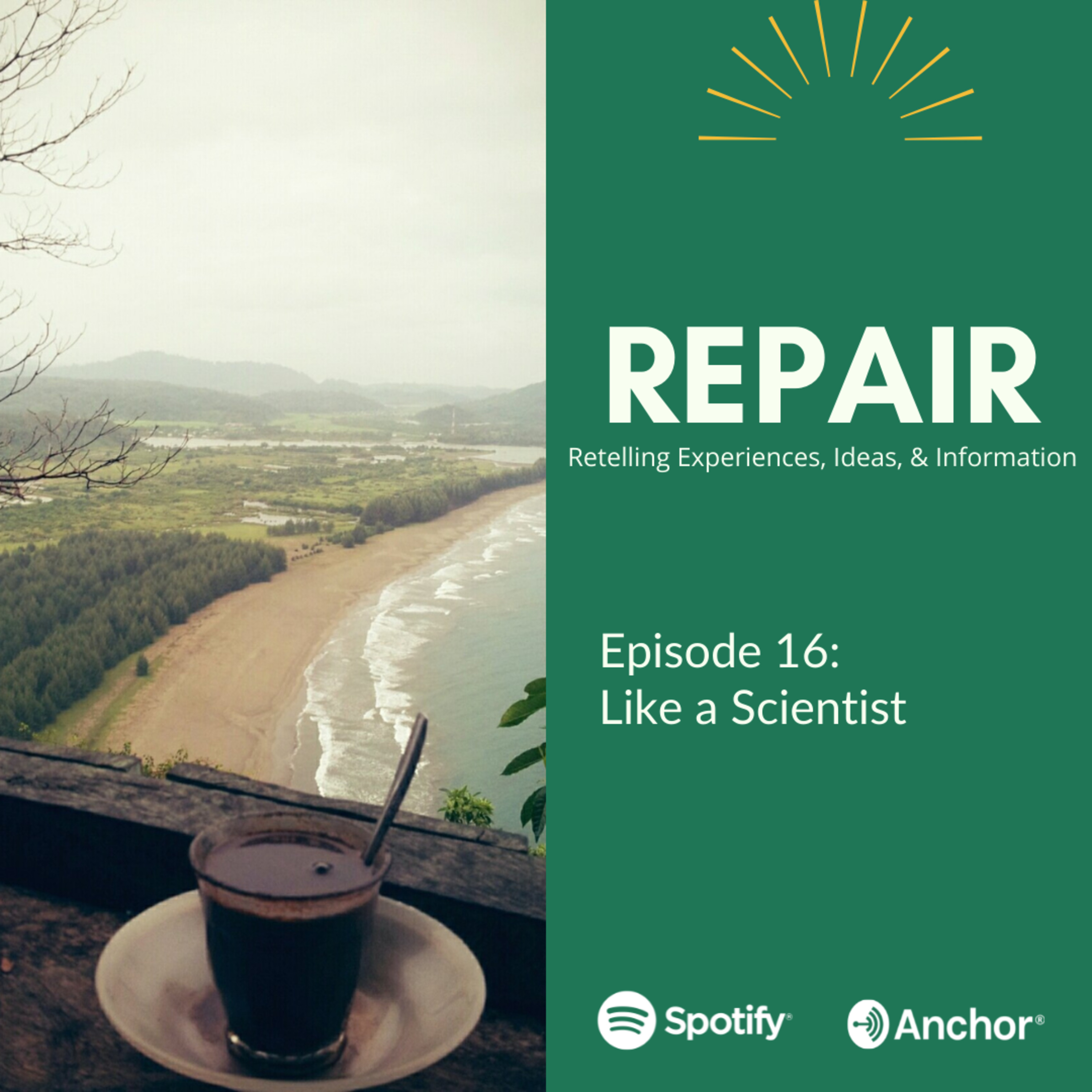 REPAIR
