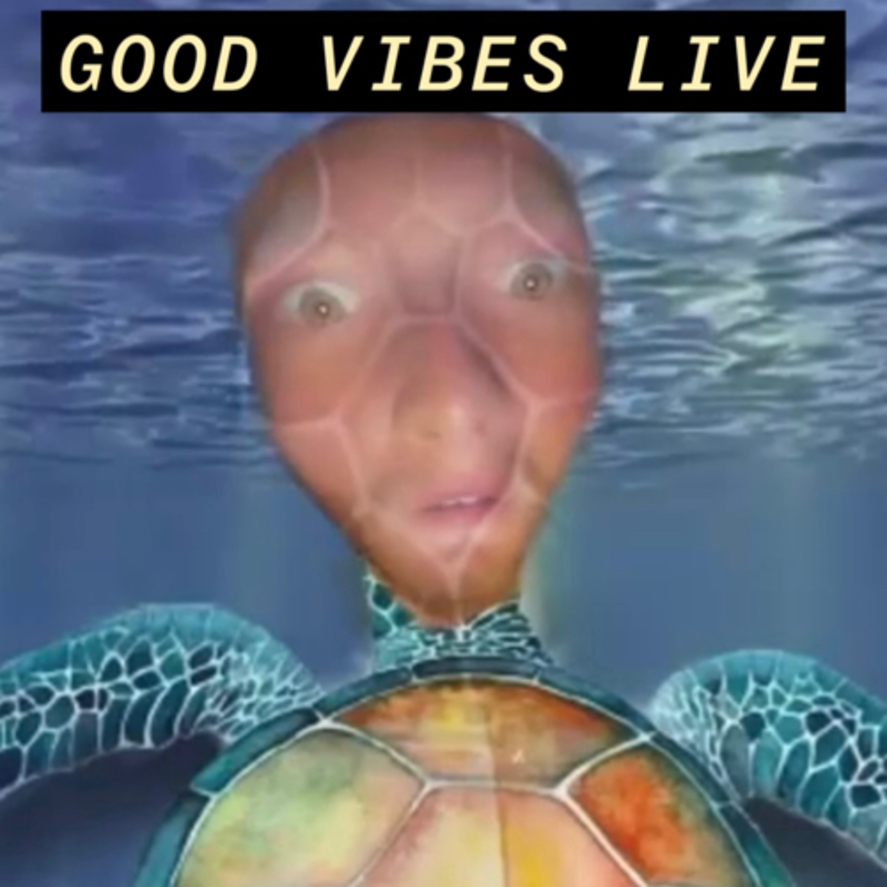 Good Vibes Live