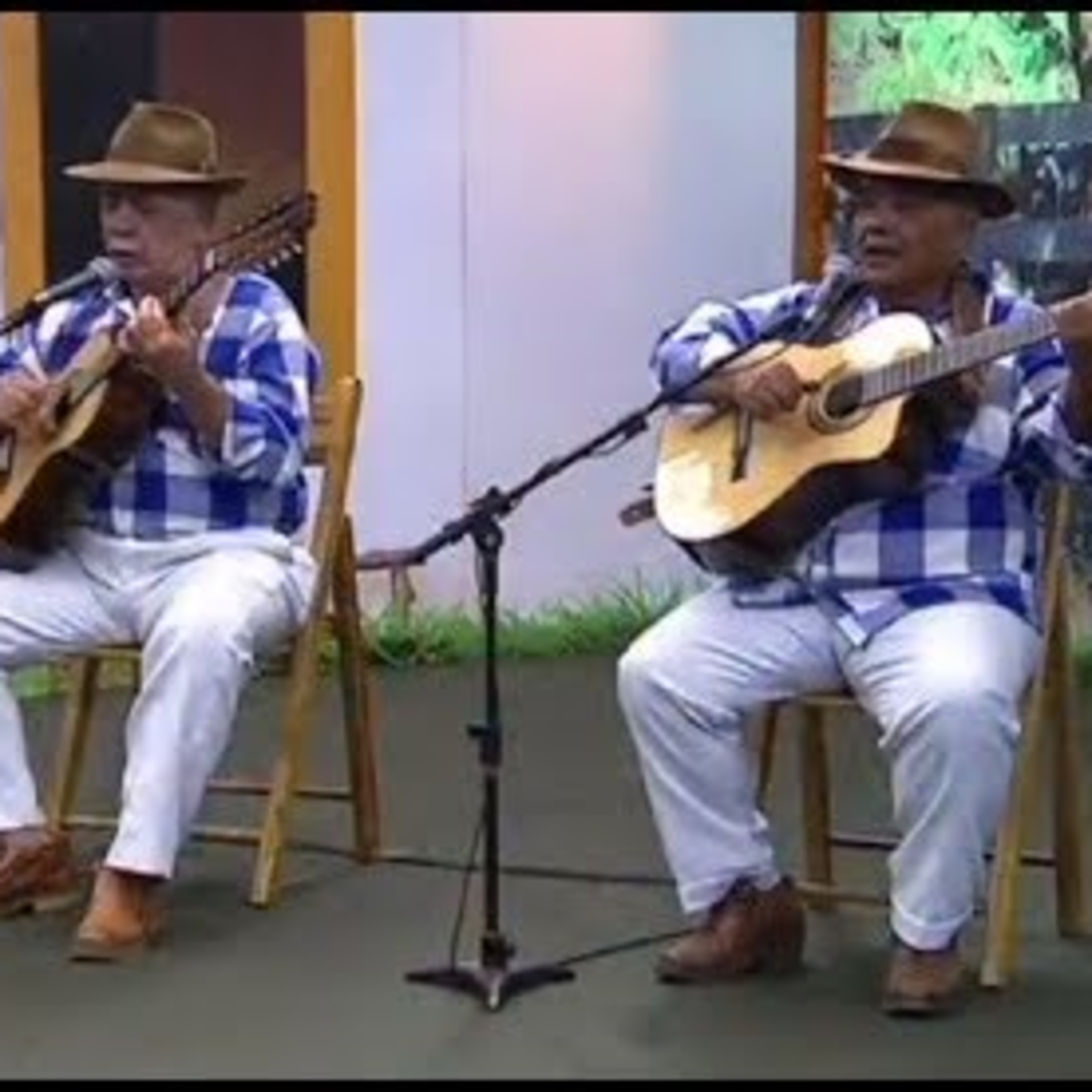 Baú Do Caipira