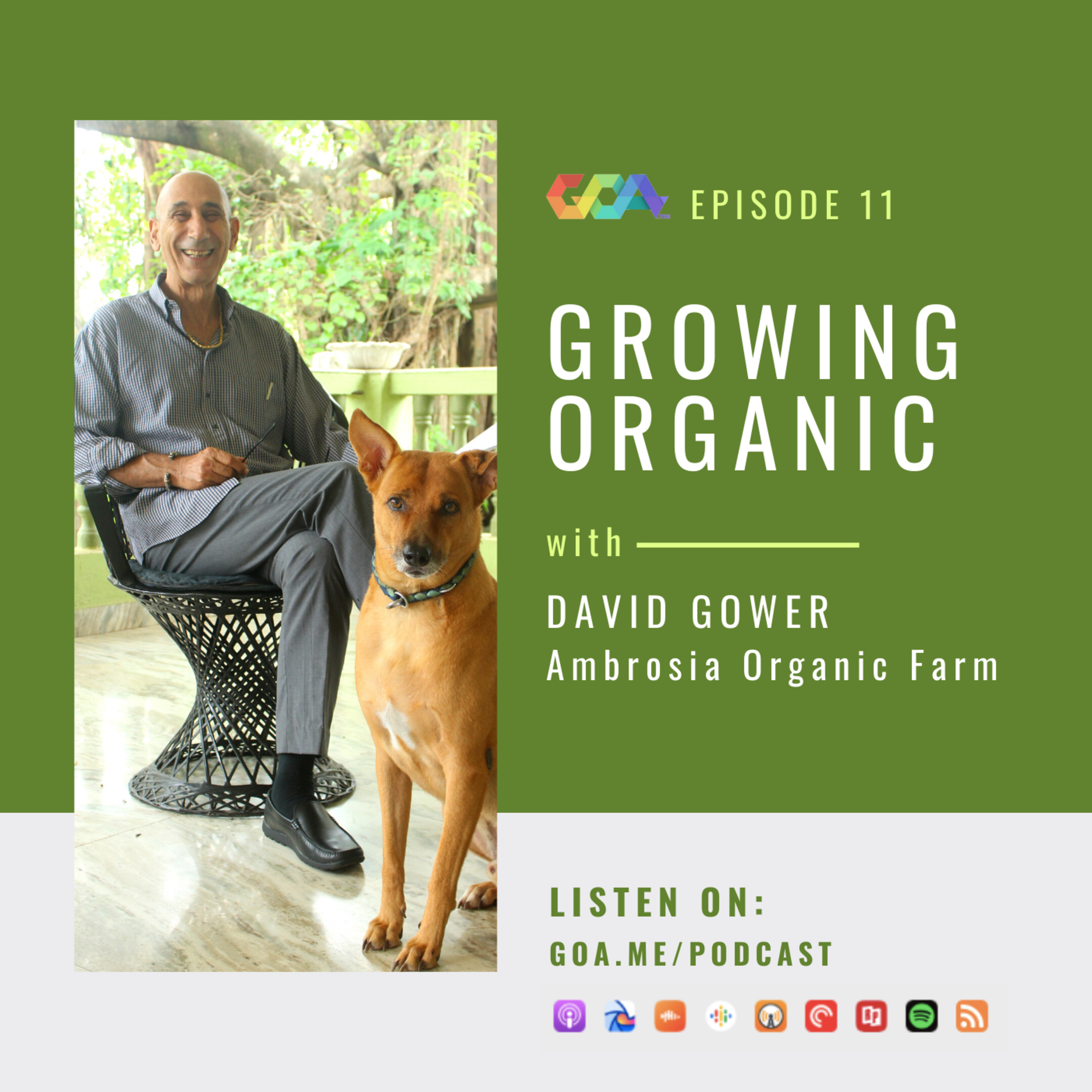Growing organic with David Gower of Ambrosia Organic Farm | Episode 11