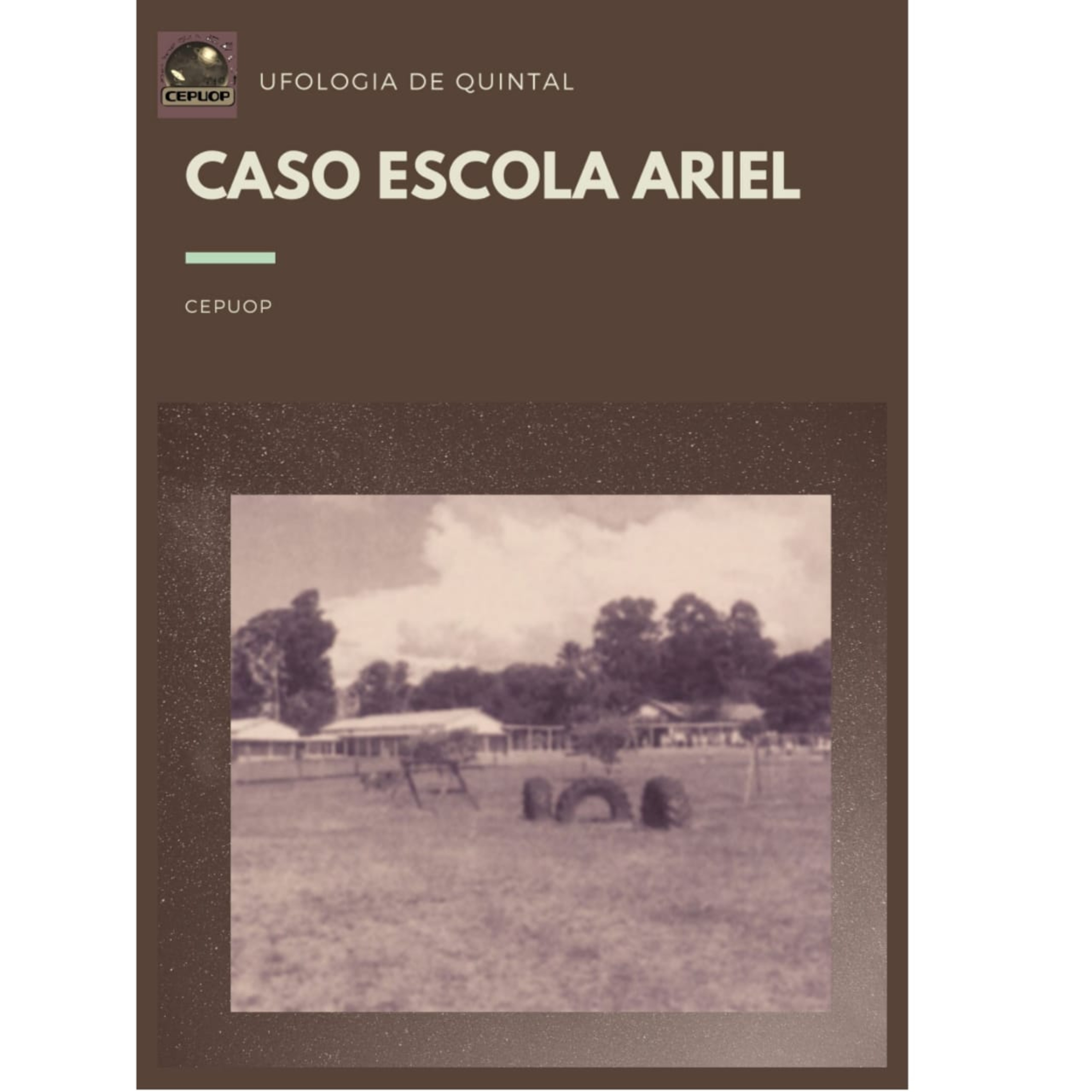 O intrigante caso da Escola Ariel