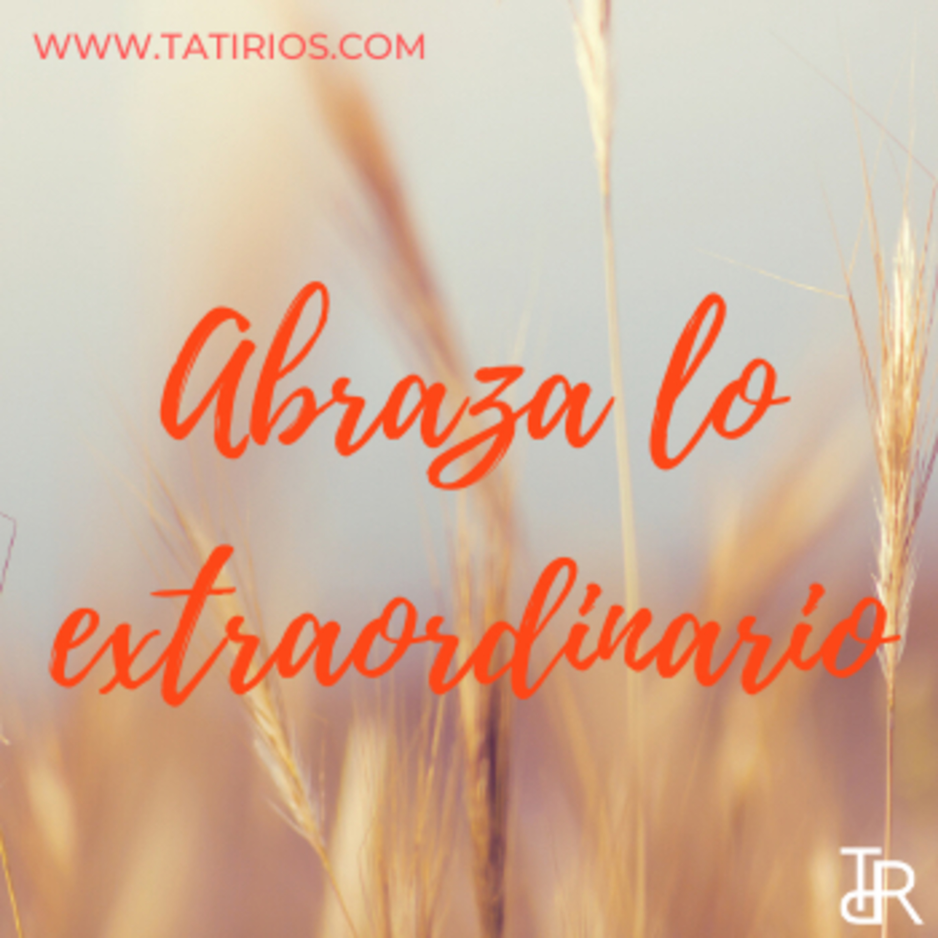 Felizmente Empresaria ✨