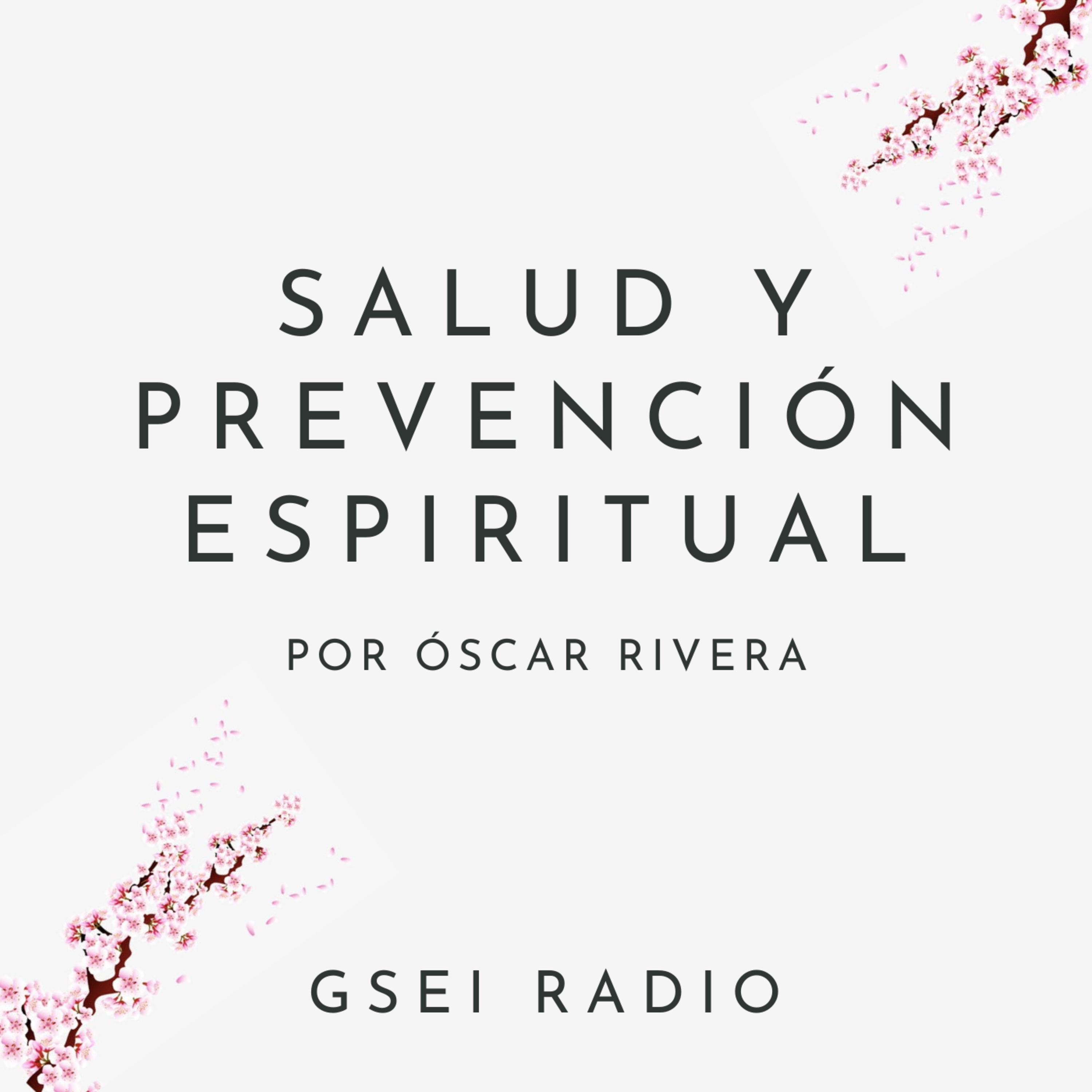 GSEI Radio