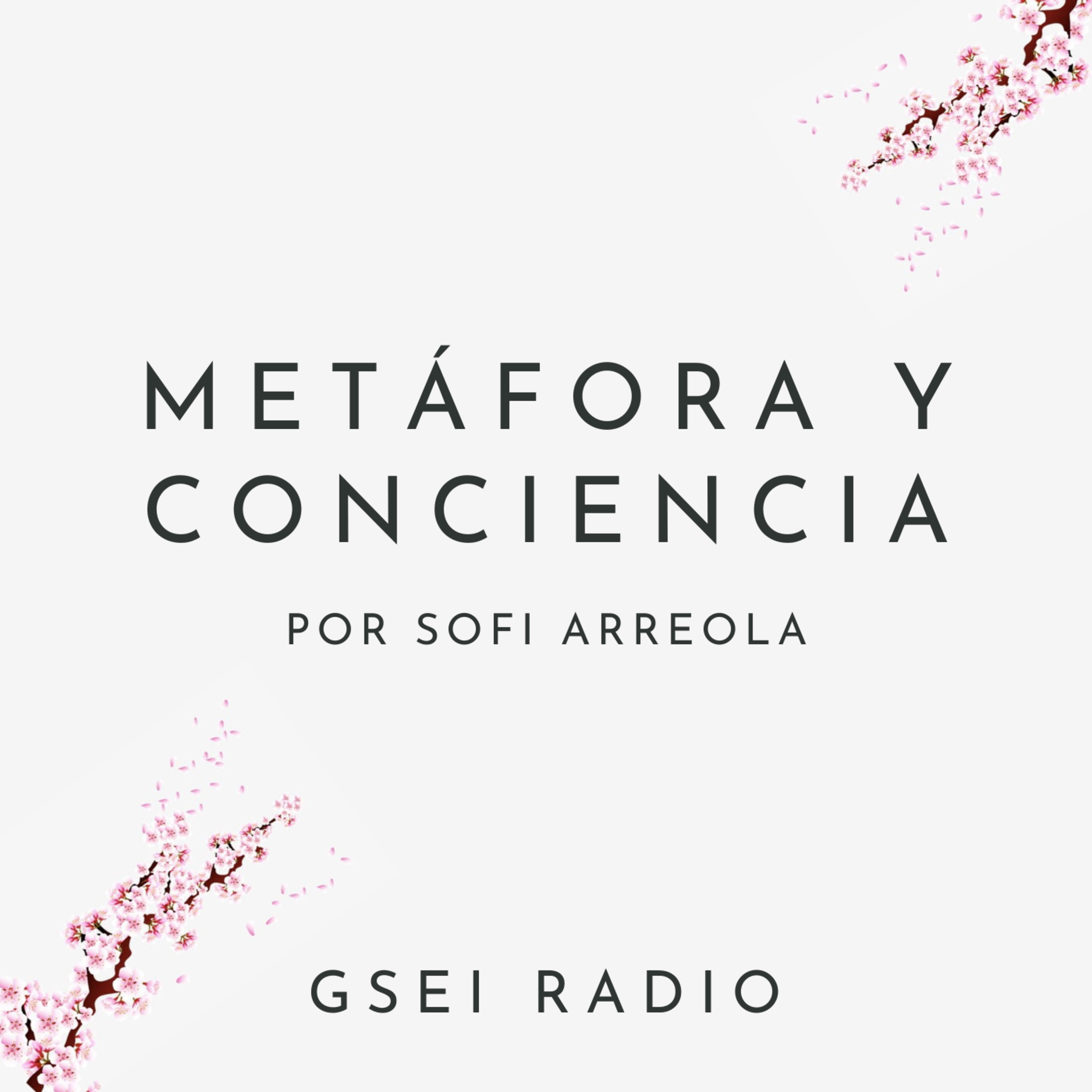GSEI Radio