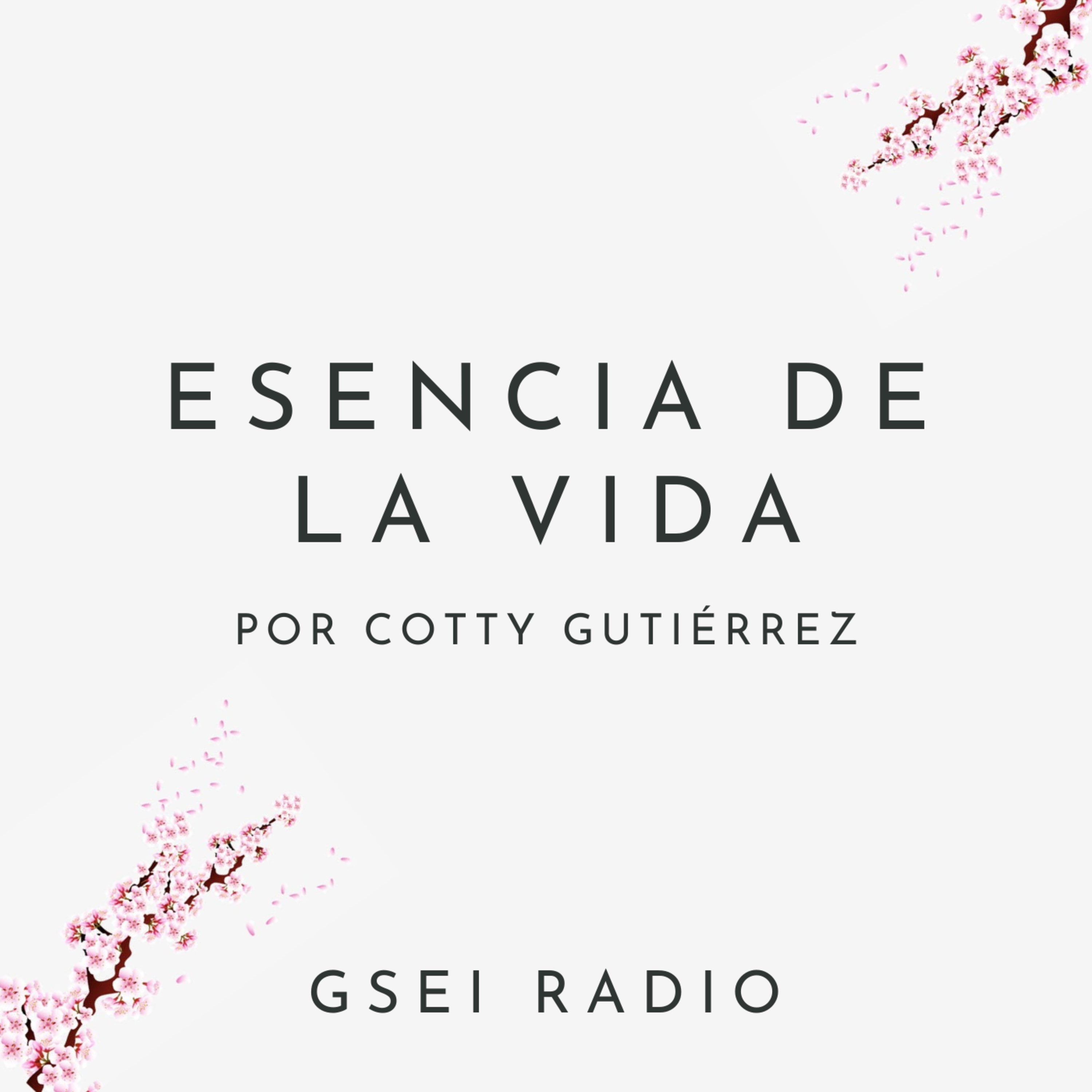 GSEI Radio
