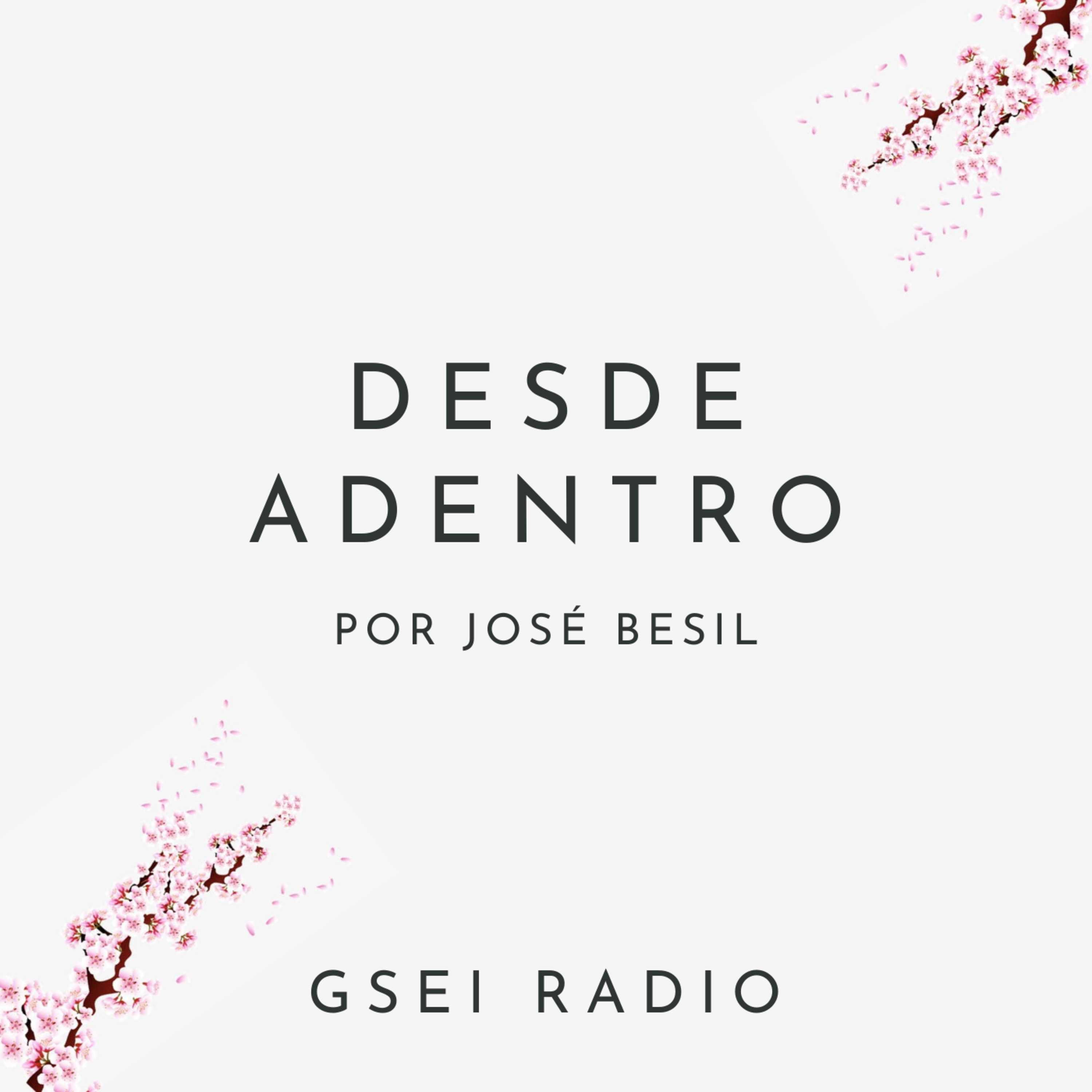GSEI Radio