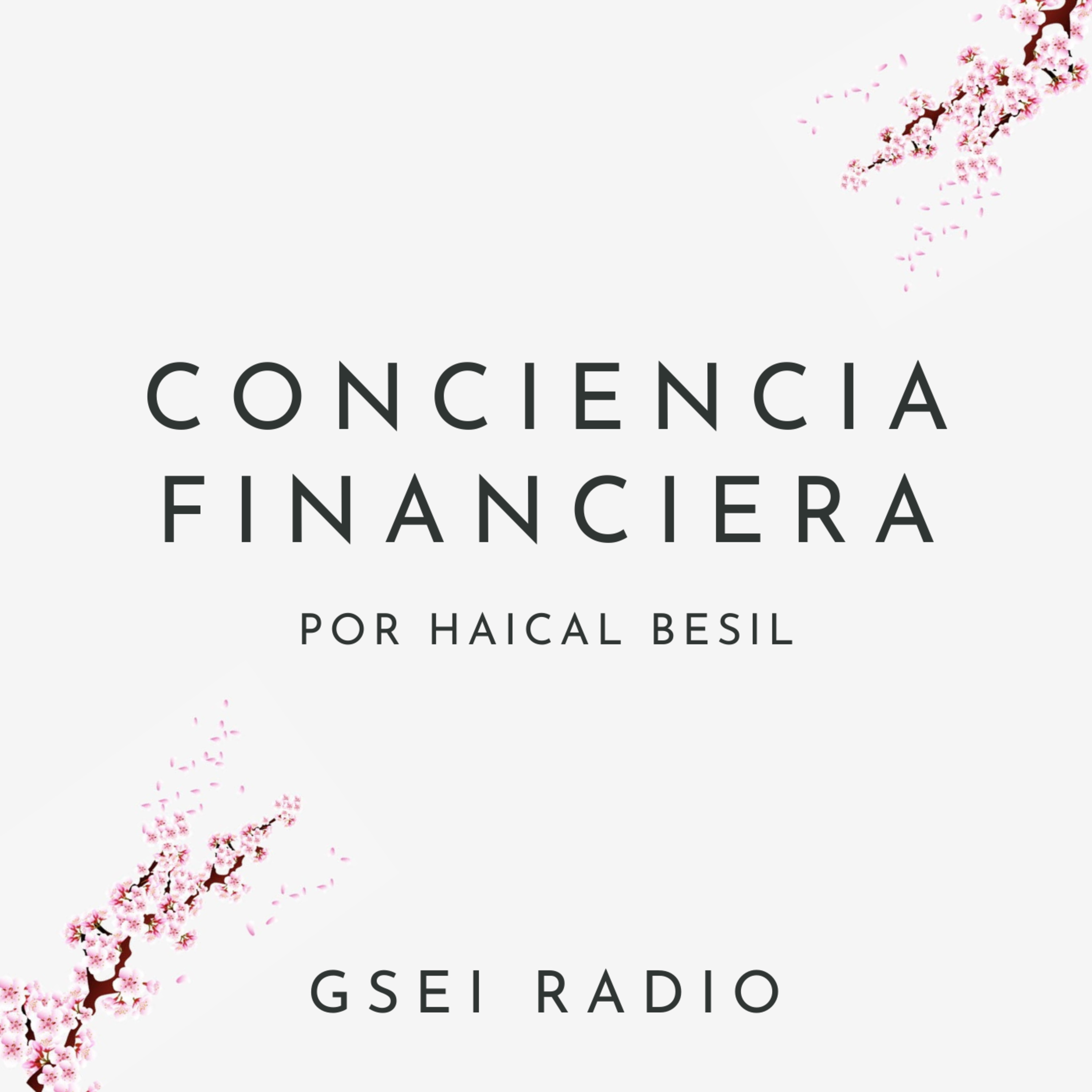 GSEI Radio