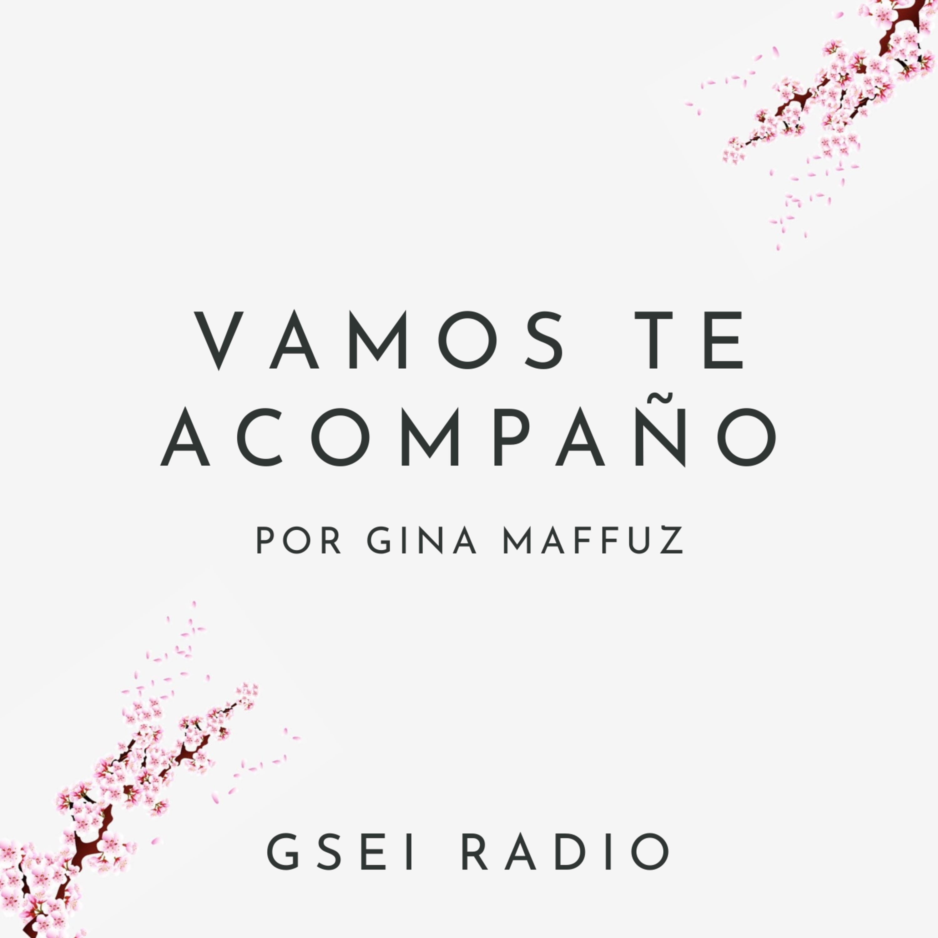 GSEI Radio