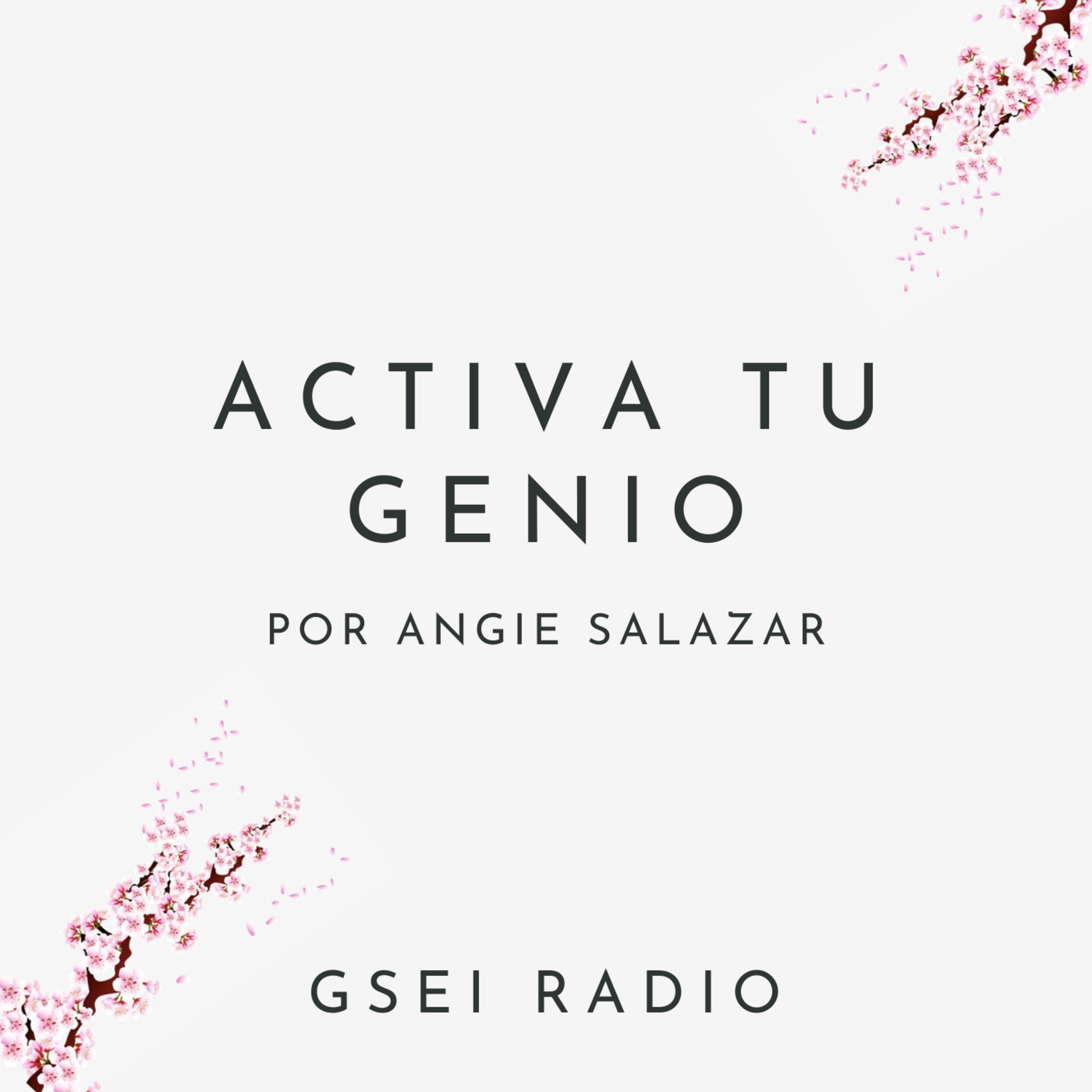 GSEI Radio