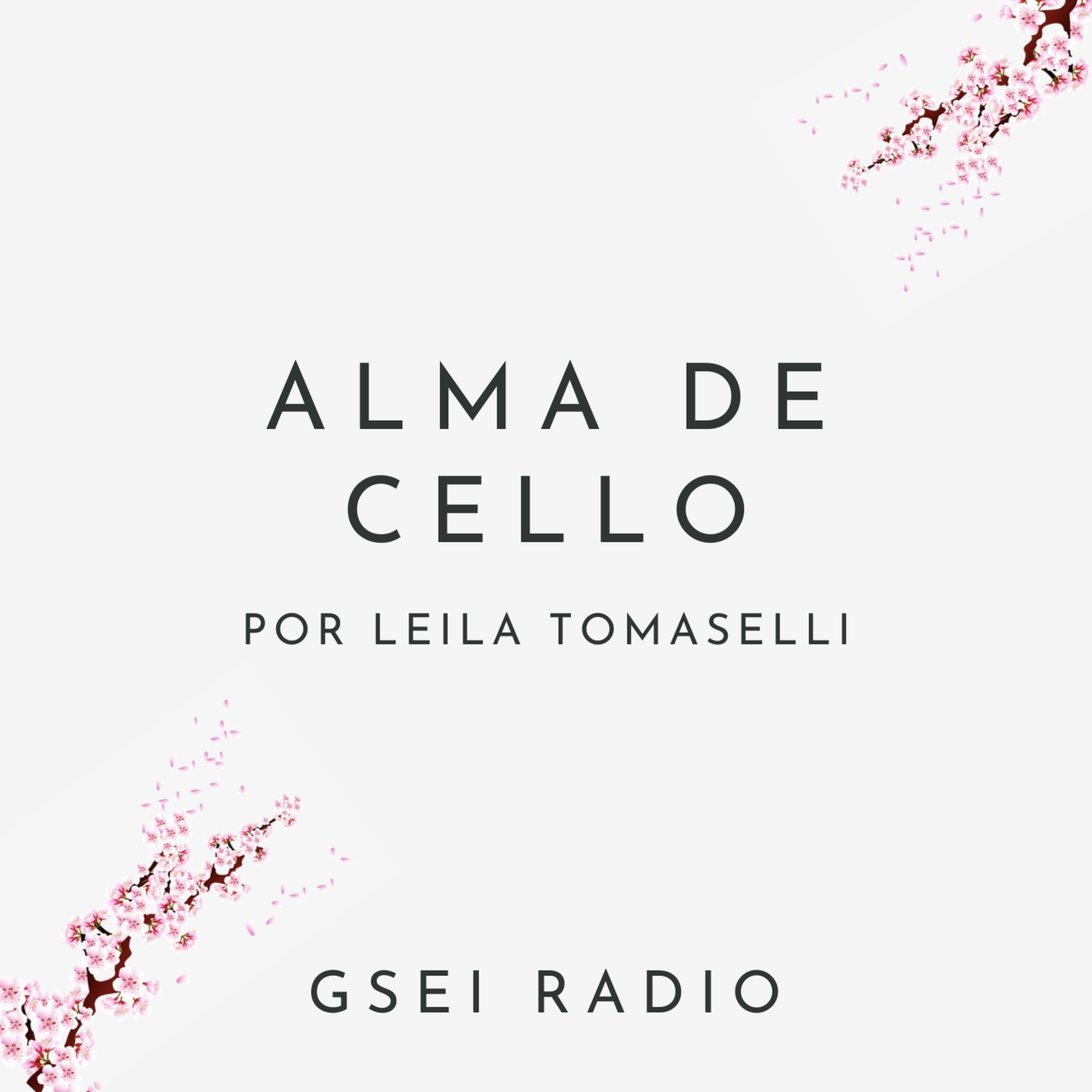 GSEI Radio