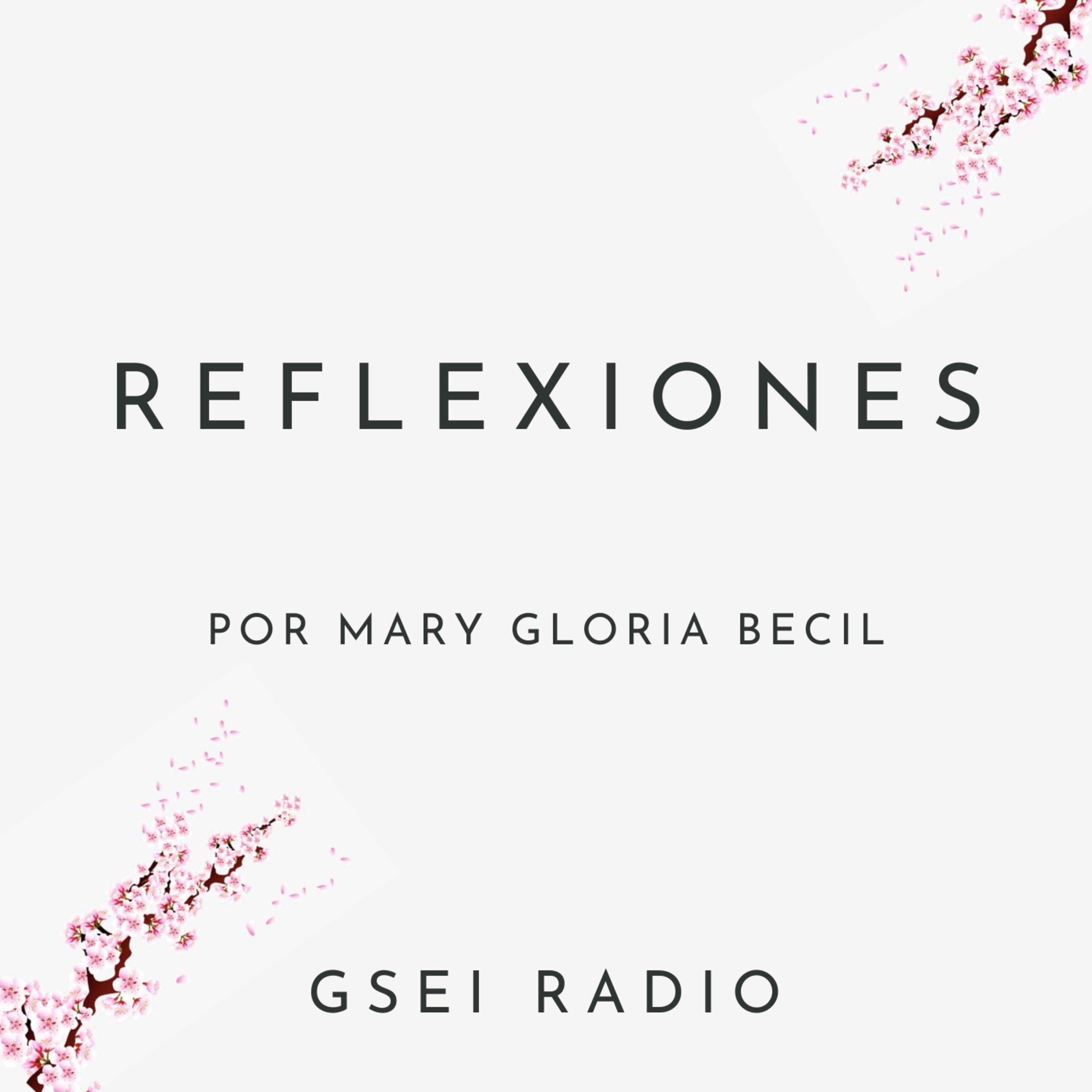 GSEI Radio
