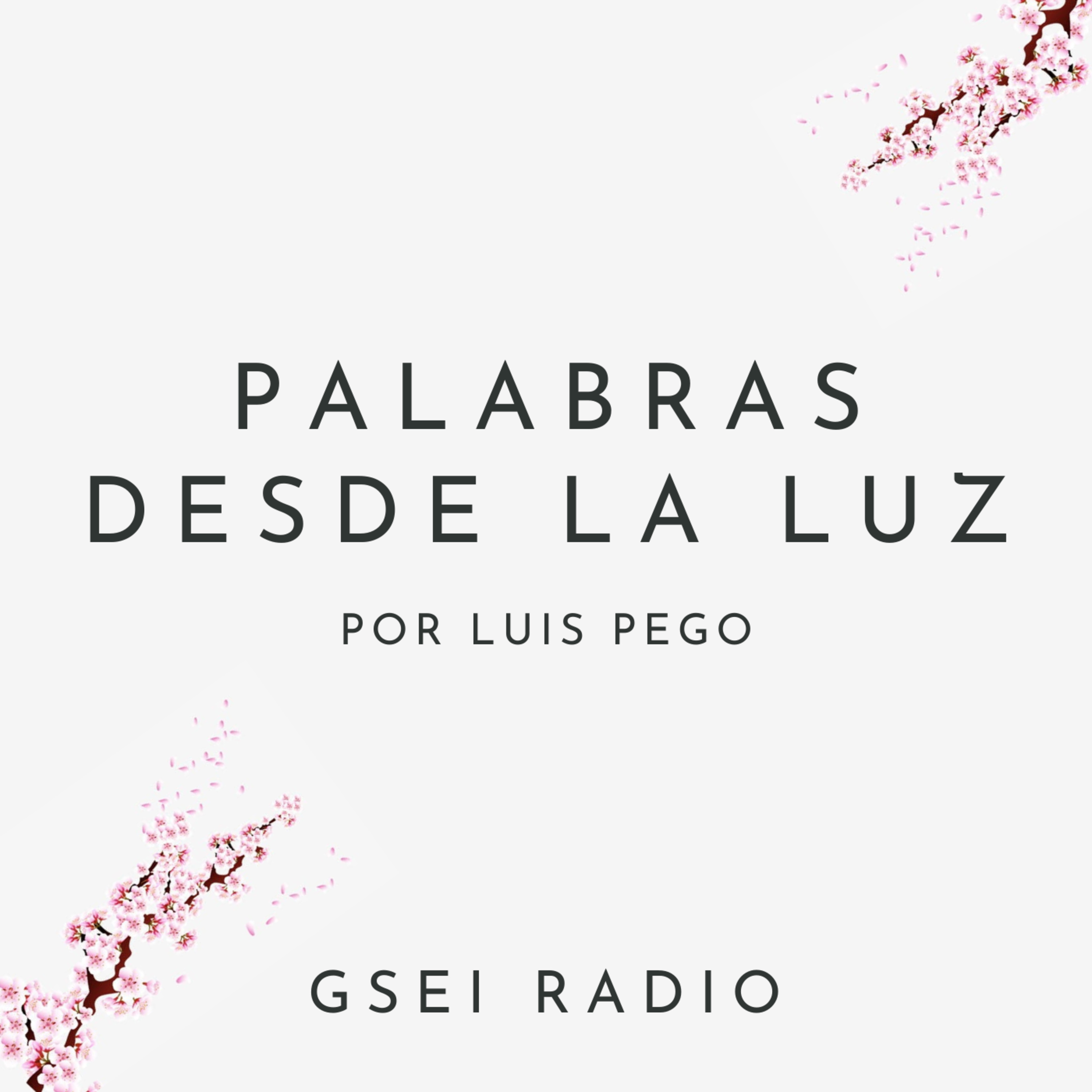GSEI Radio