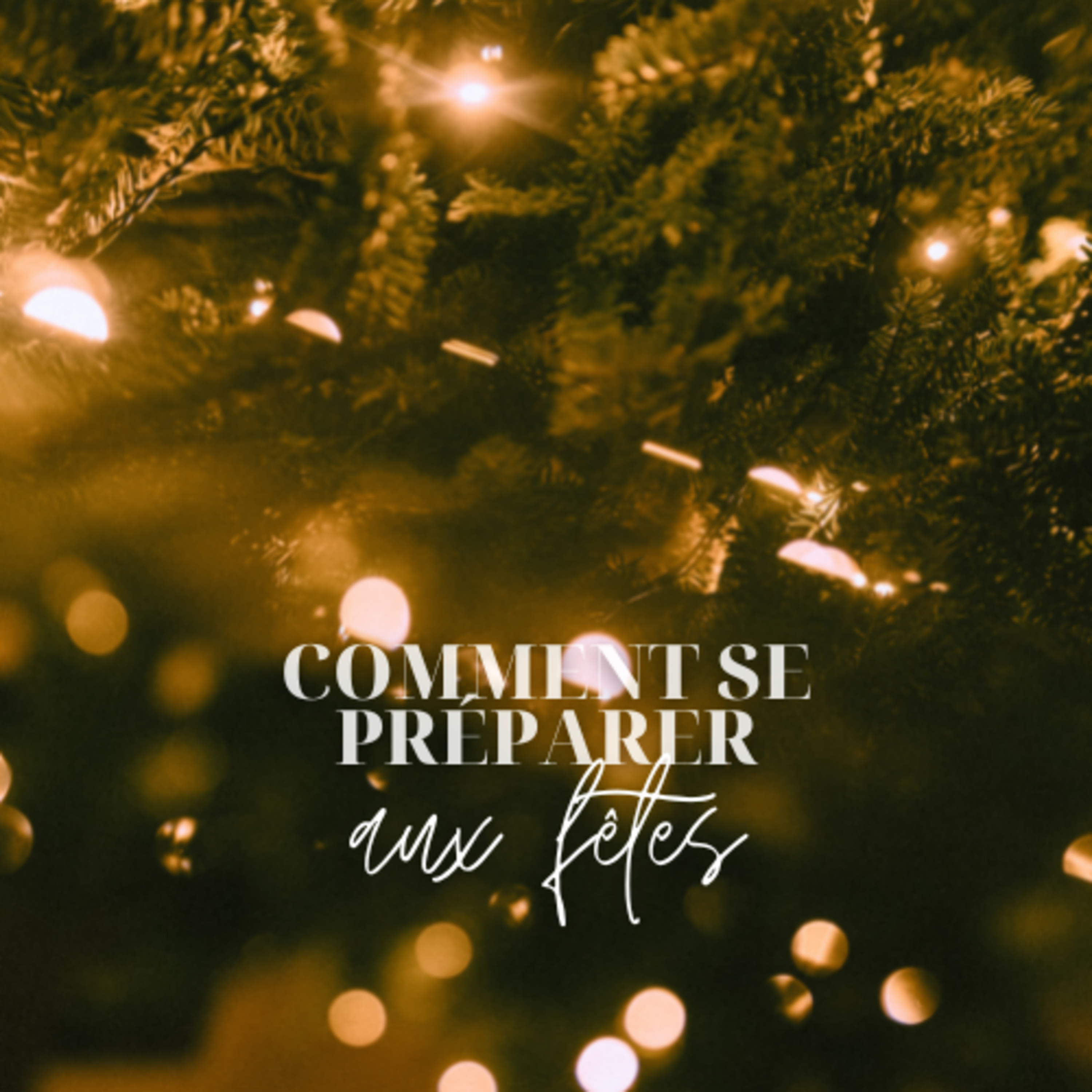 25. Comment se préparer aux fêtes ? (et pas forcément dans le sens que tu crois)