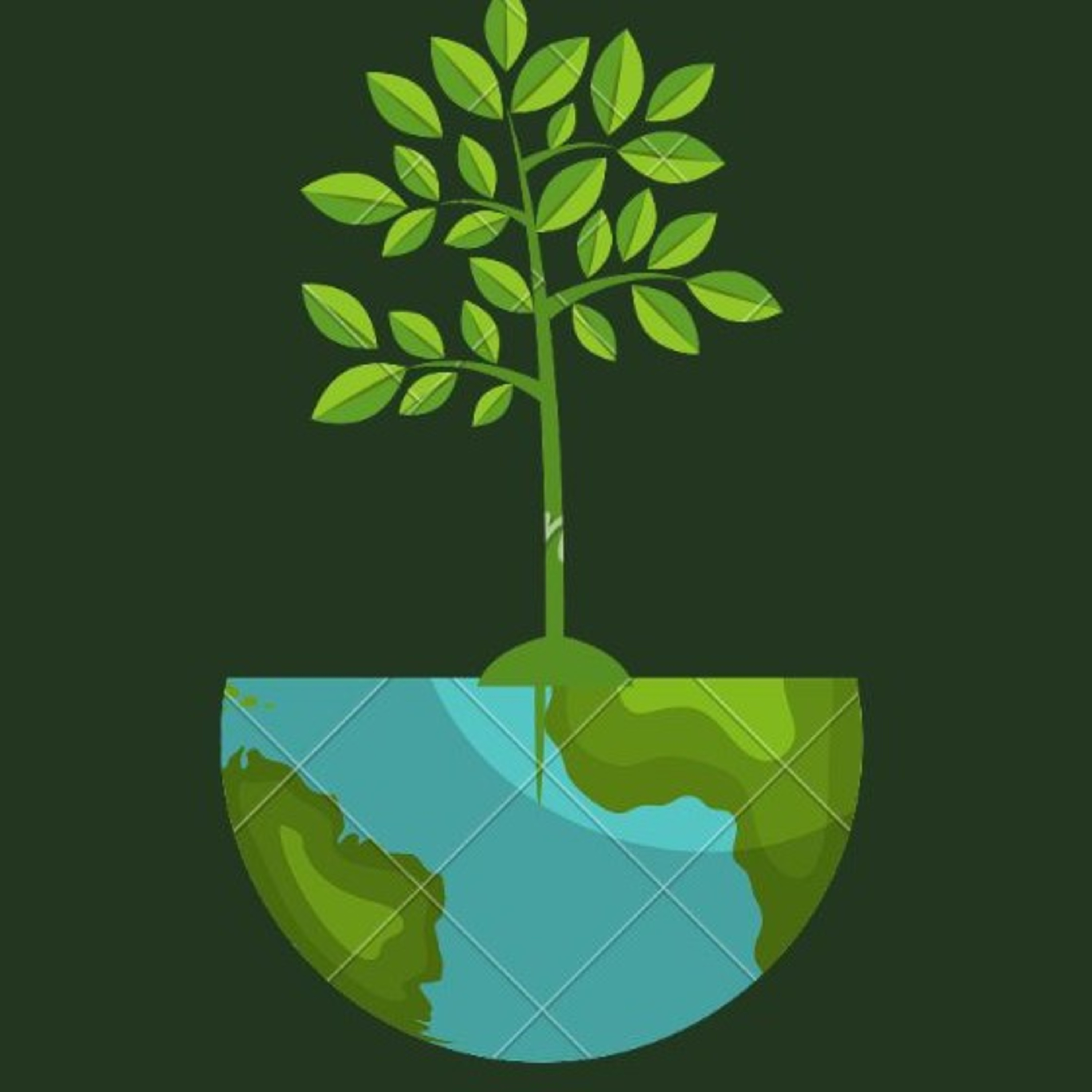CONTAMINACION AMBIENTAL
