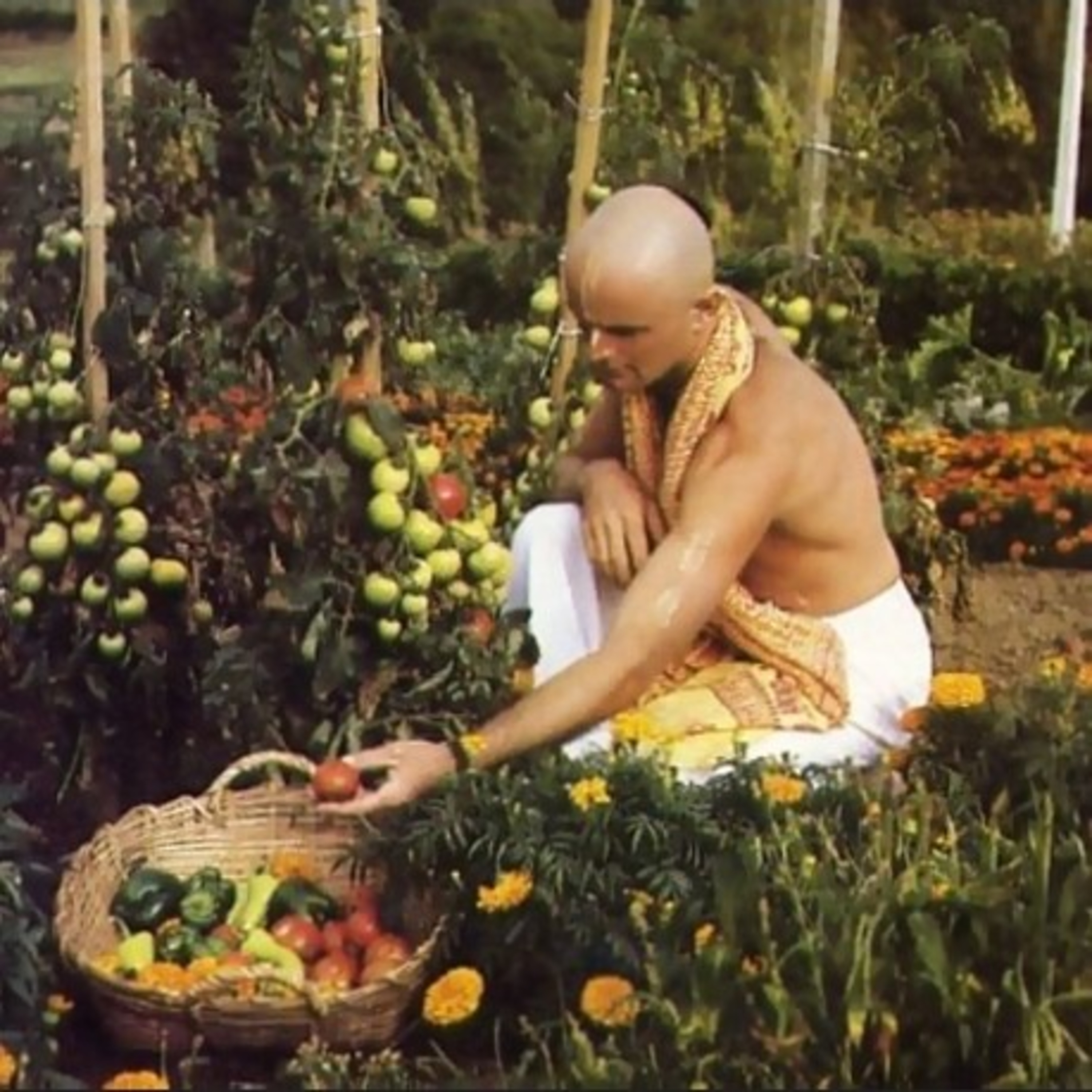 Néctar del Bhagavad Gita & Bhakti Yoga