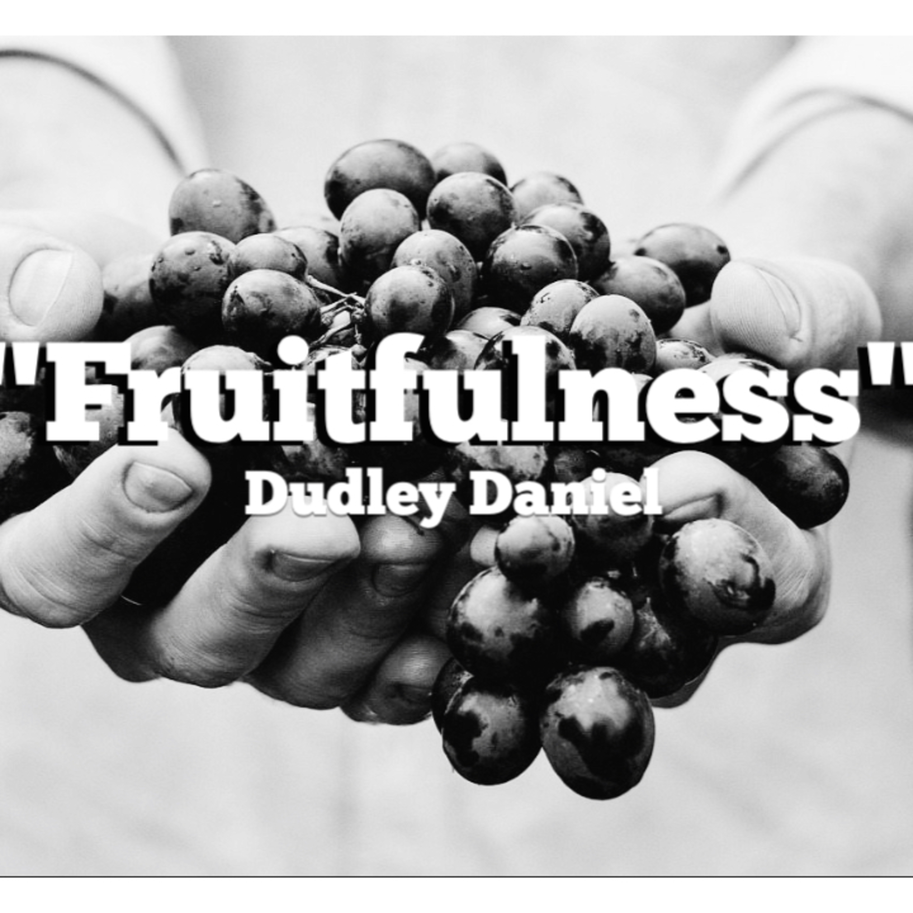 "Fruitfulness" Dudley Daniel episode artwork