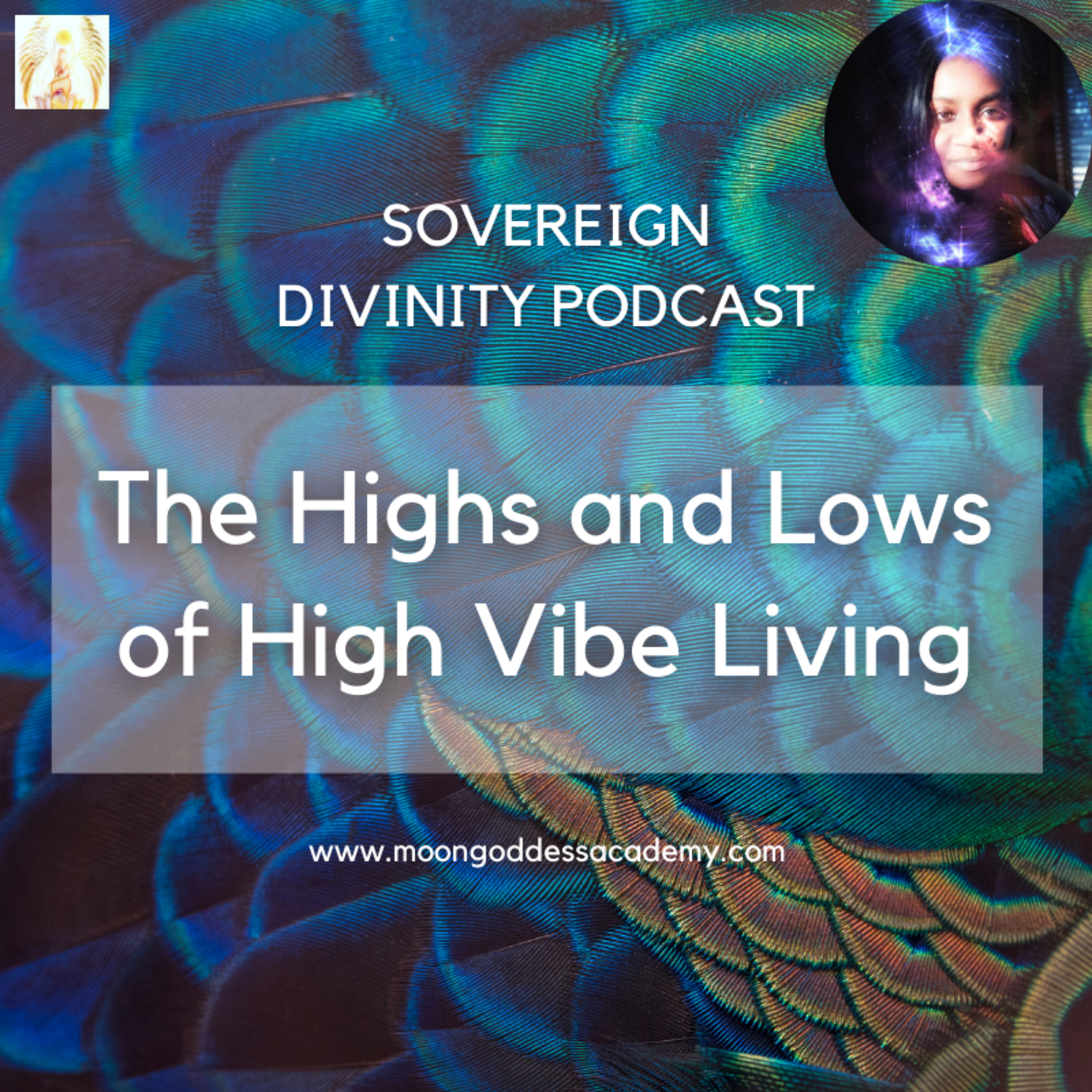 Sovereign Divinity Podcast: The Highs and Lows of High Vibe Living episode artwork